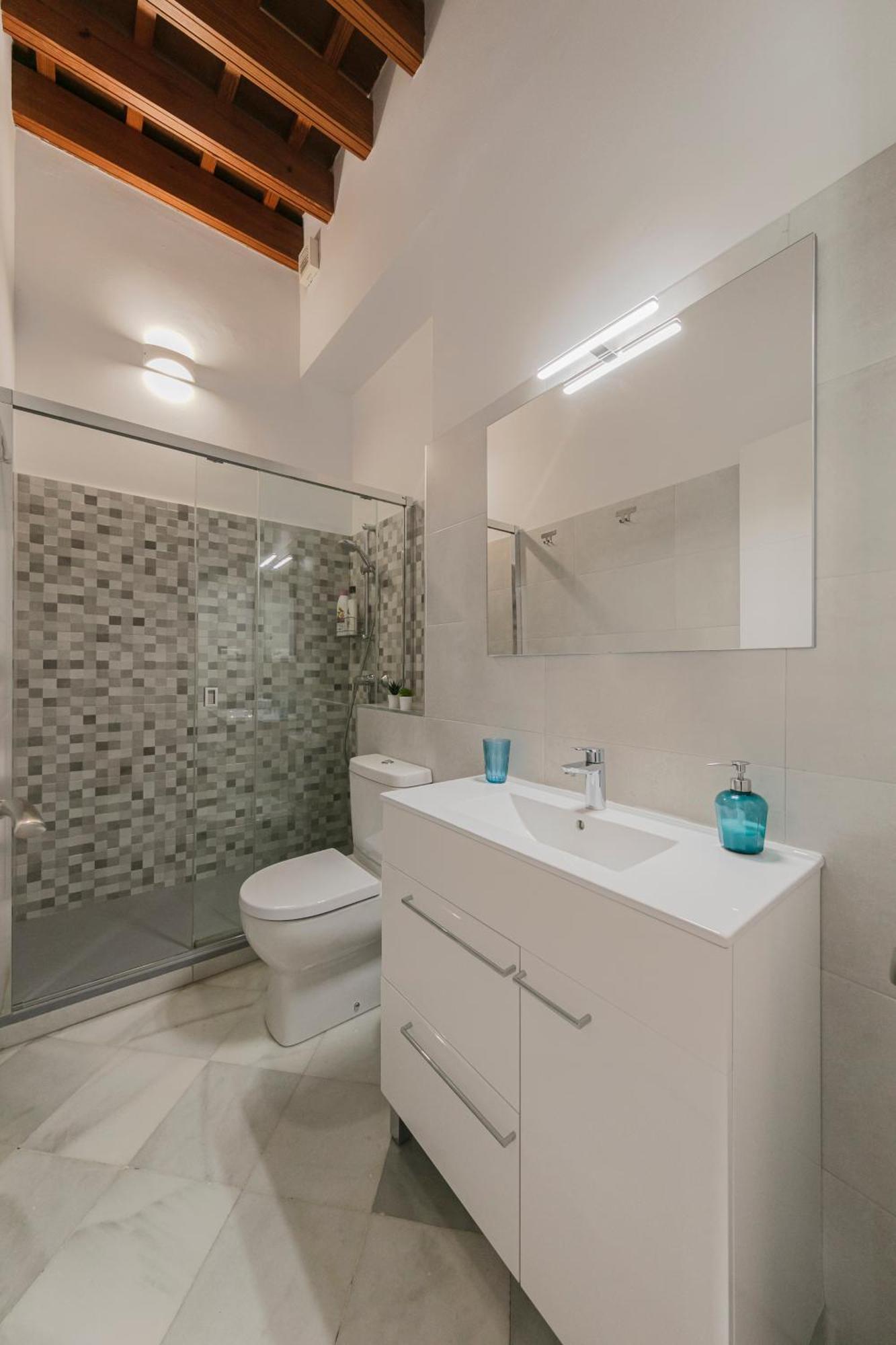 Apartment Arco Del Postigo Seville