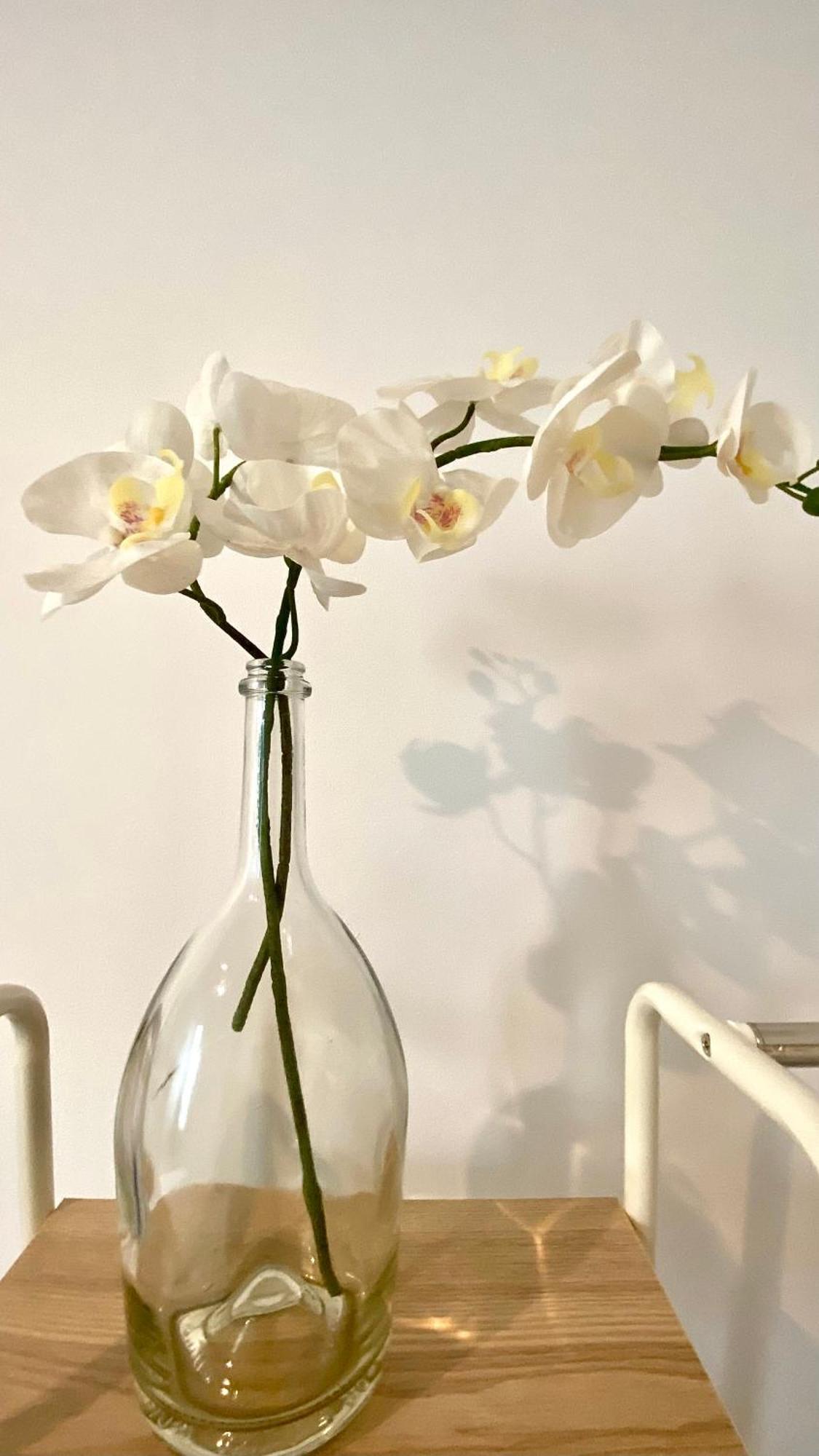 Apartamento Inocentes