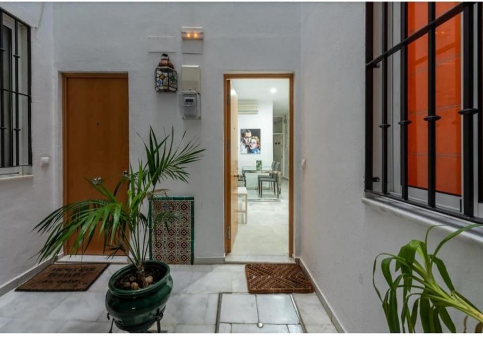 Sweet Catalina-centric 4 Guests Apartamento *