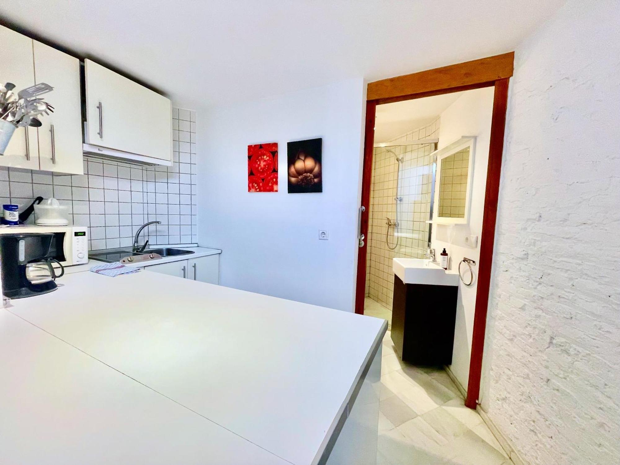 Apartment San Lorenzo - Seville