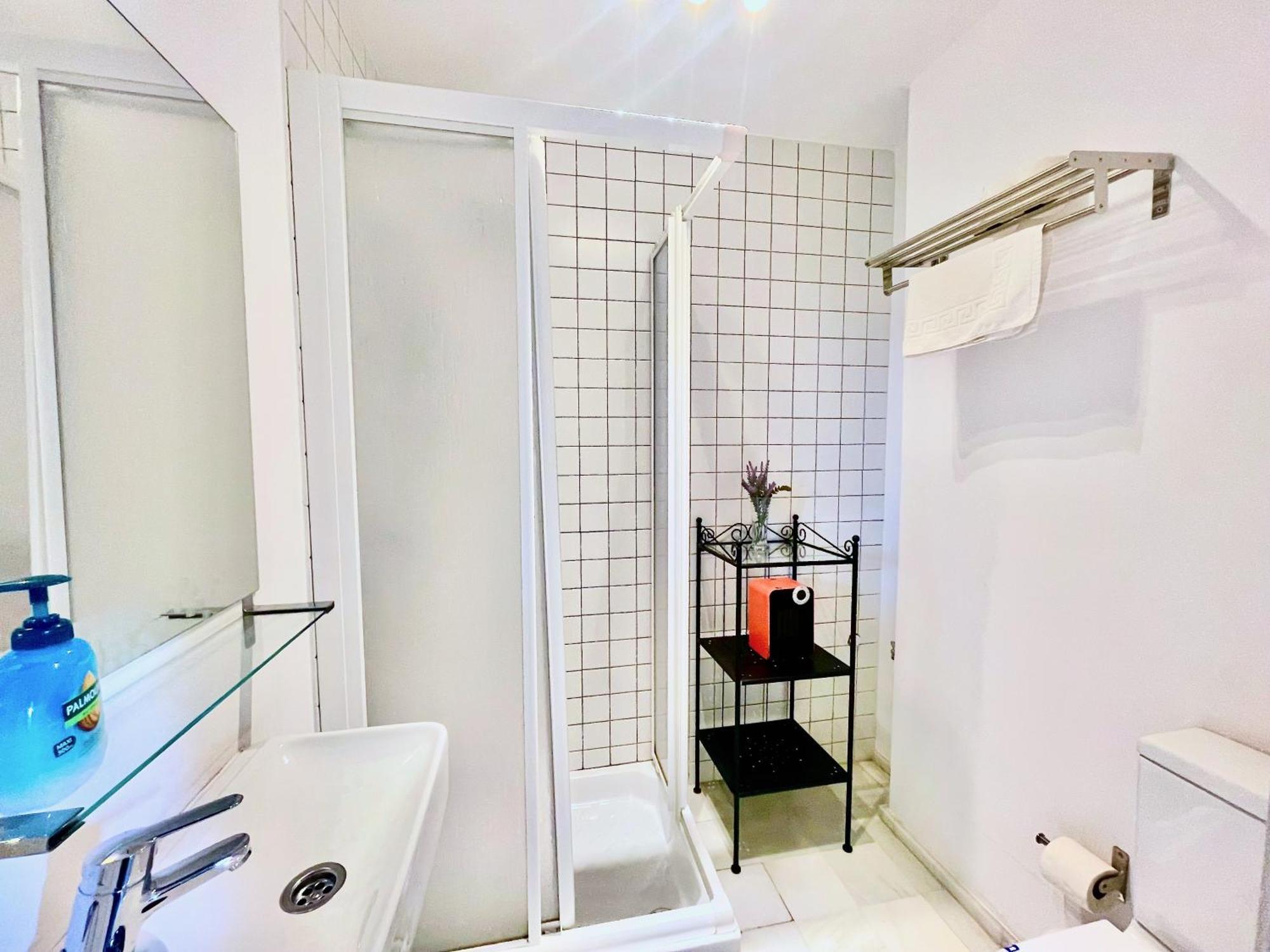 Apartment San Lorenzo - *
