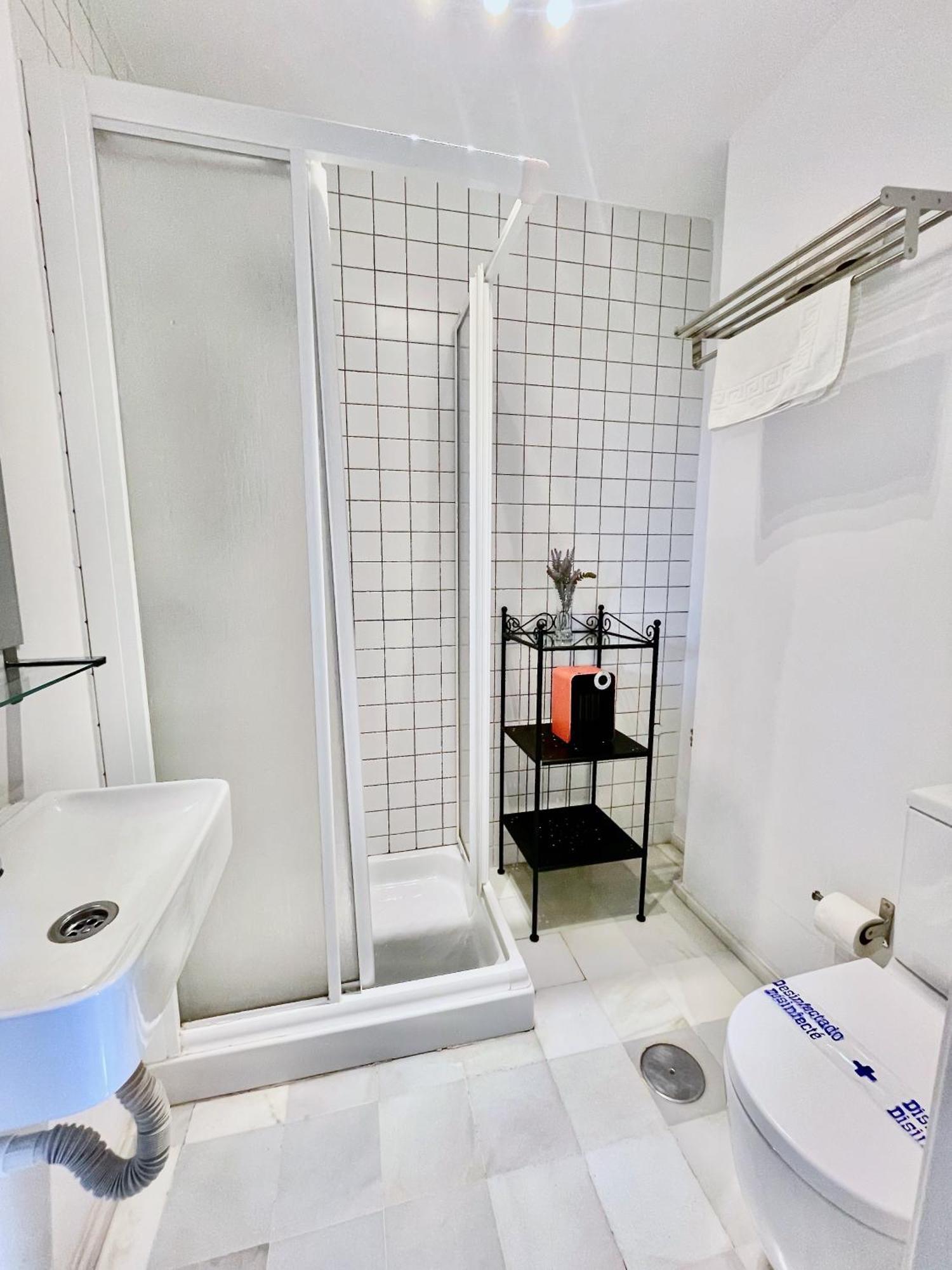 Apartment San Lorenzo - Seville