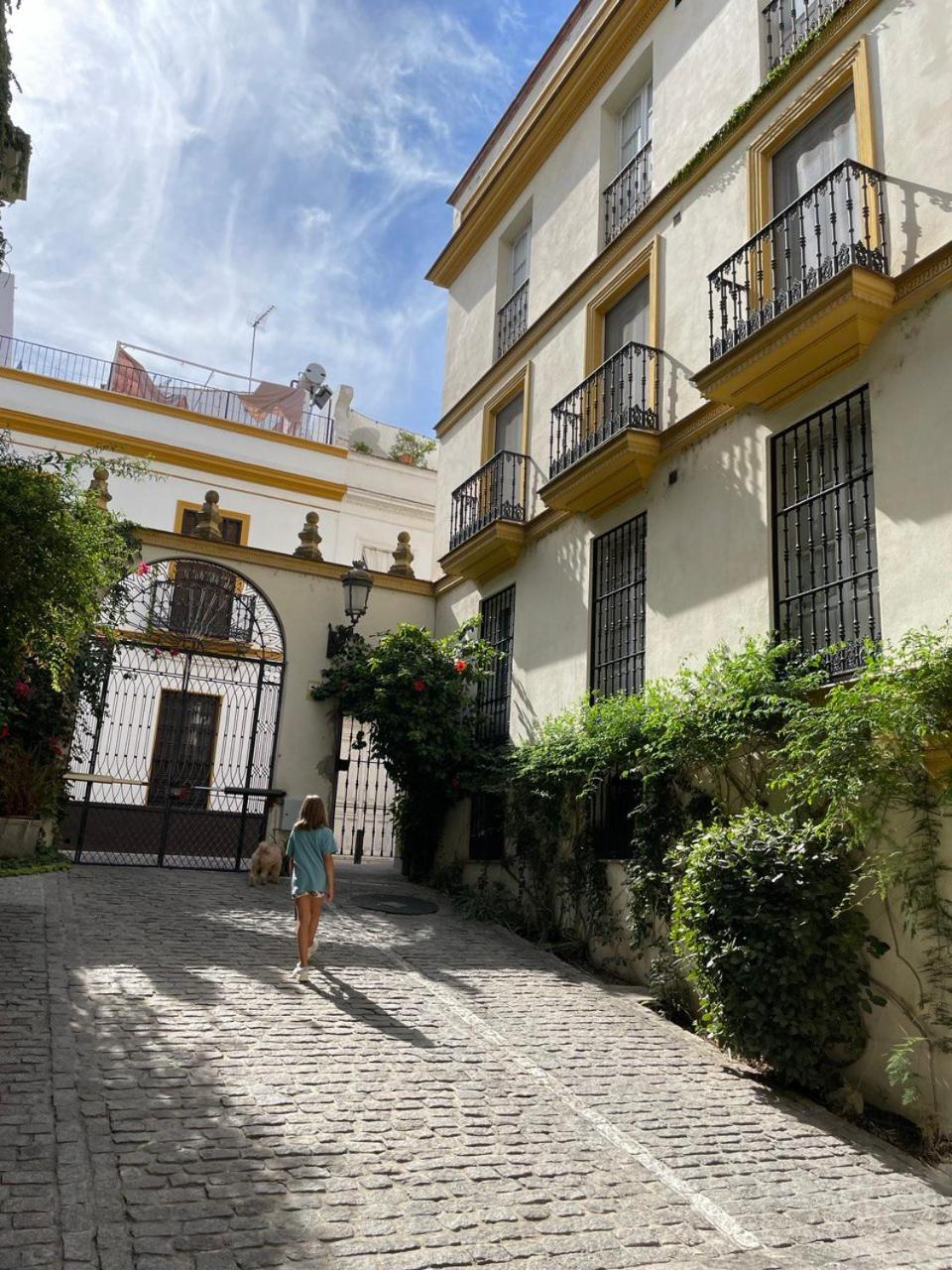 Centro-casco Antiguo -vidrio 36 Apartment *