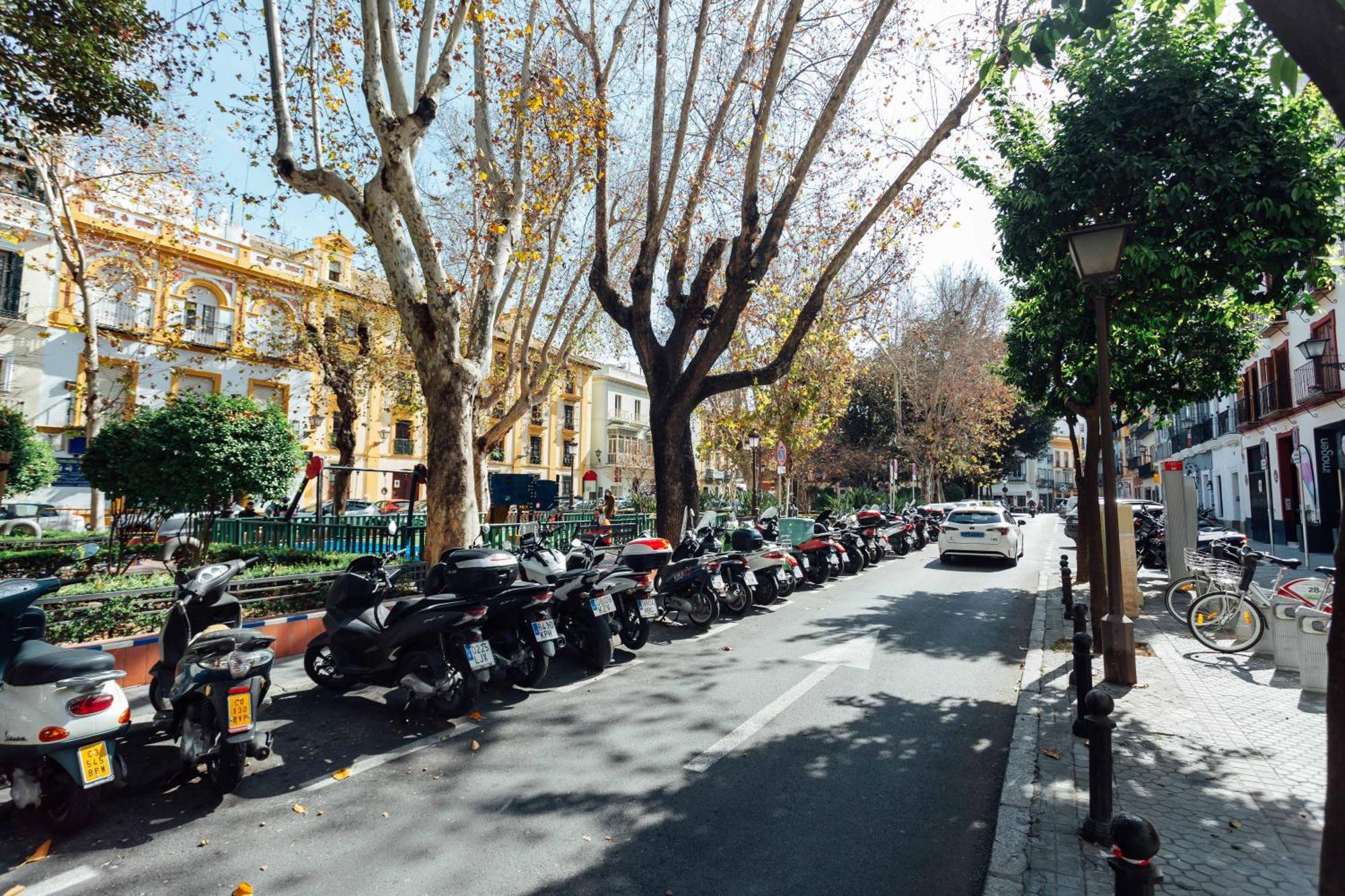 Apartamento Luxury And Cozy- 1bd 1bth- Setas Sevilla