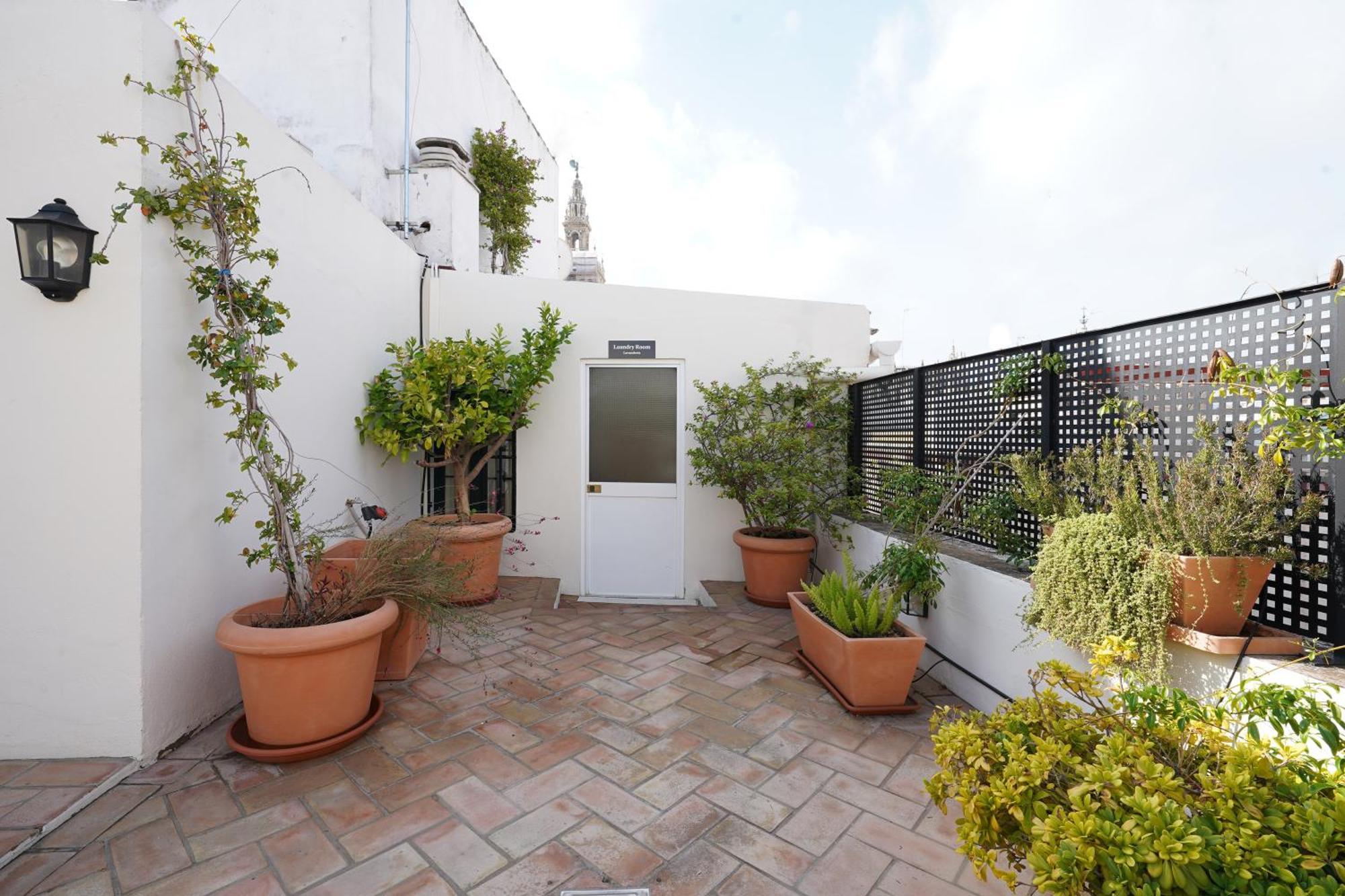Numa Alegre Apartment