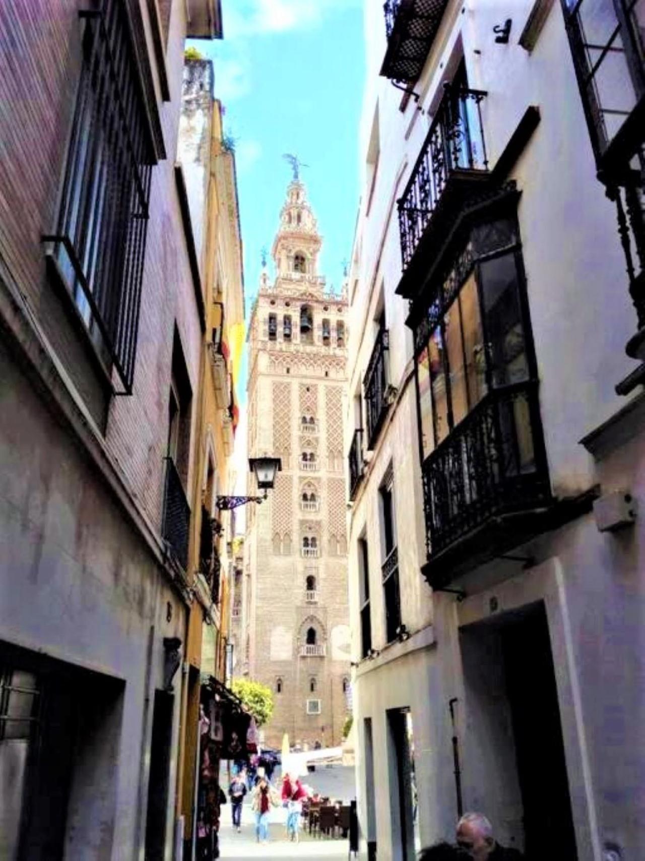 ¡en Frente De La Giralda-catedral! Apartamento