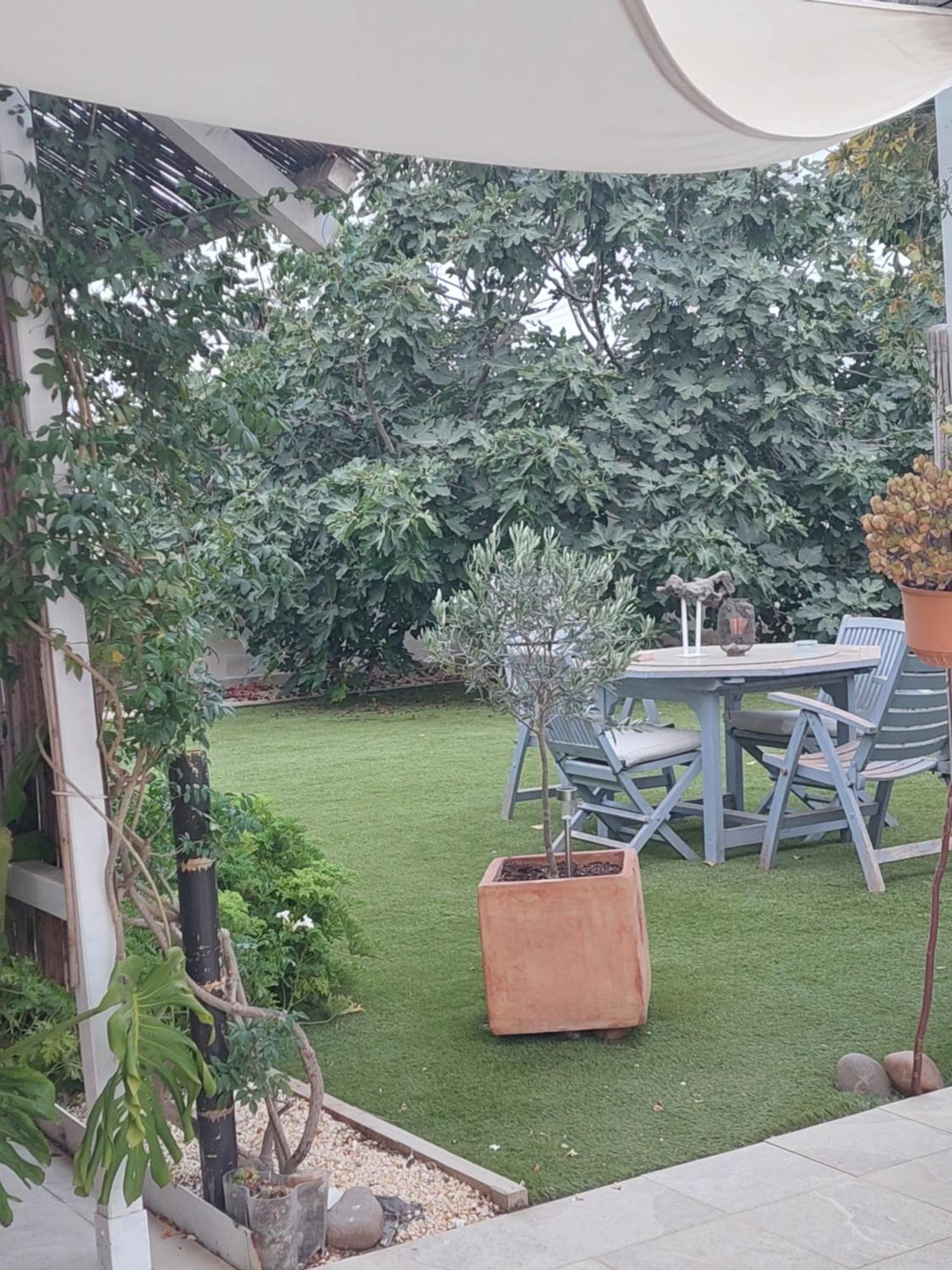 Homestay Casa Oliva 52