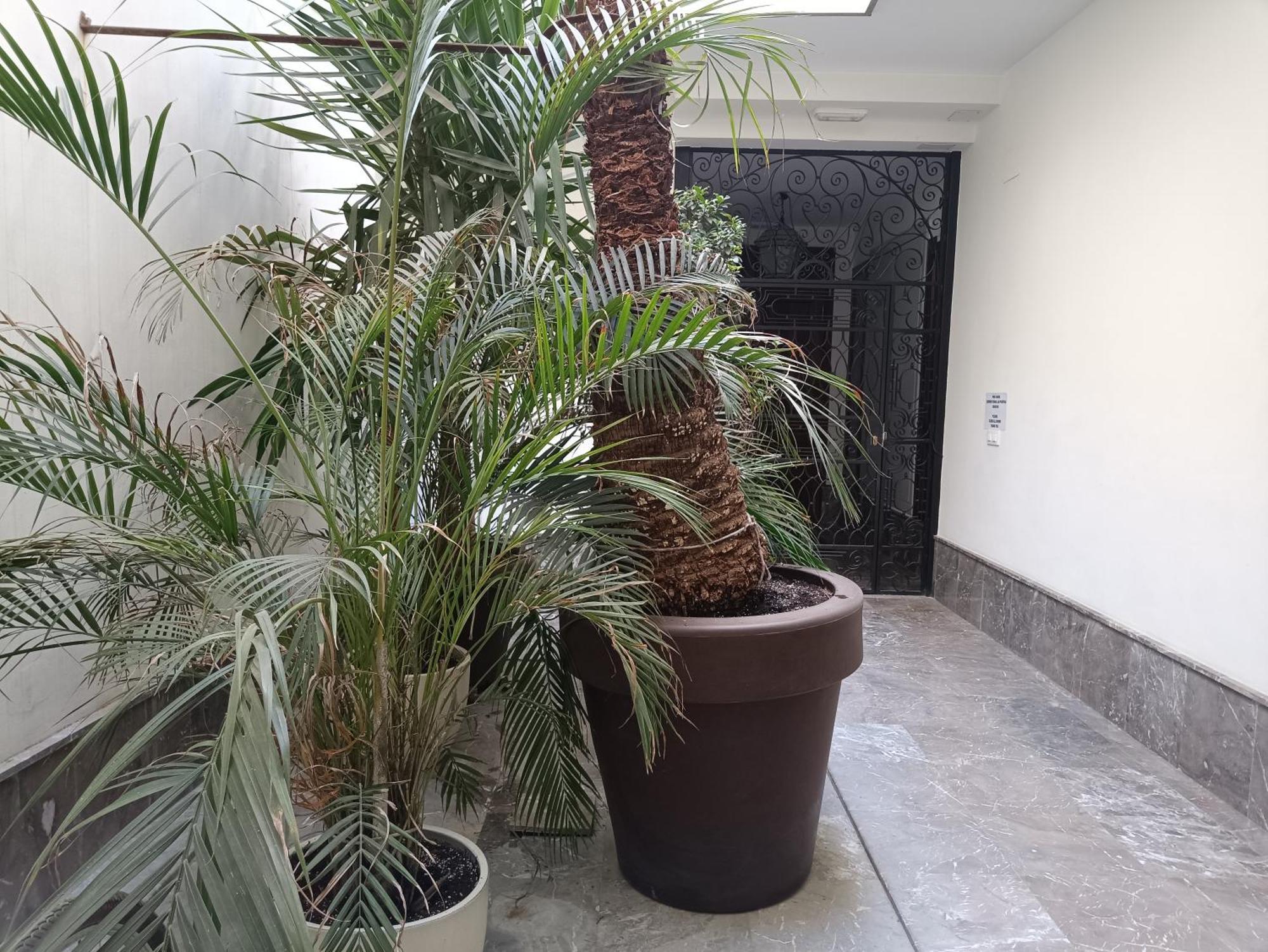 Luxury Puente De Triana Apartment Seville