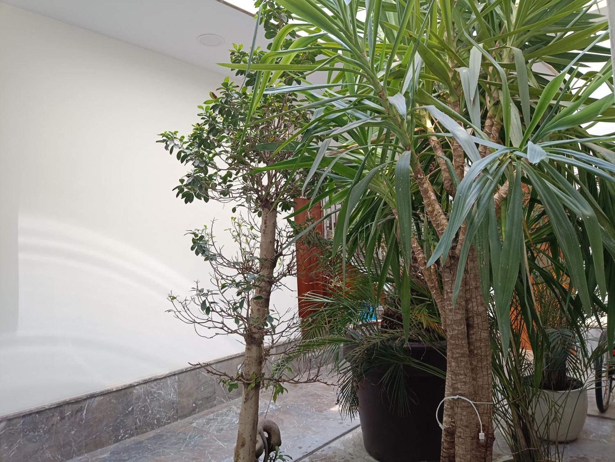 Apartment Luxury Puente De Triana