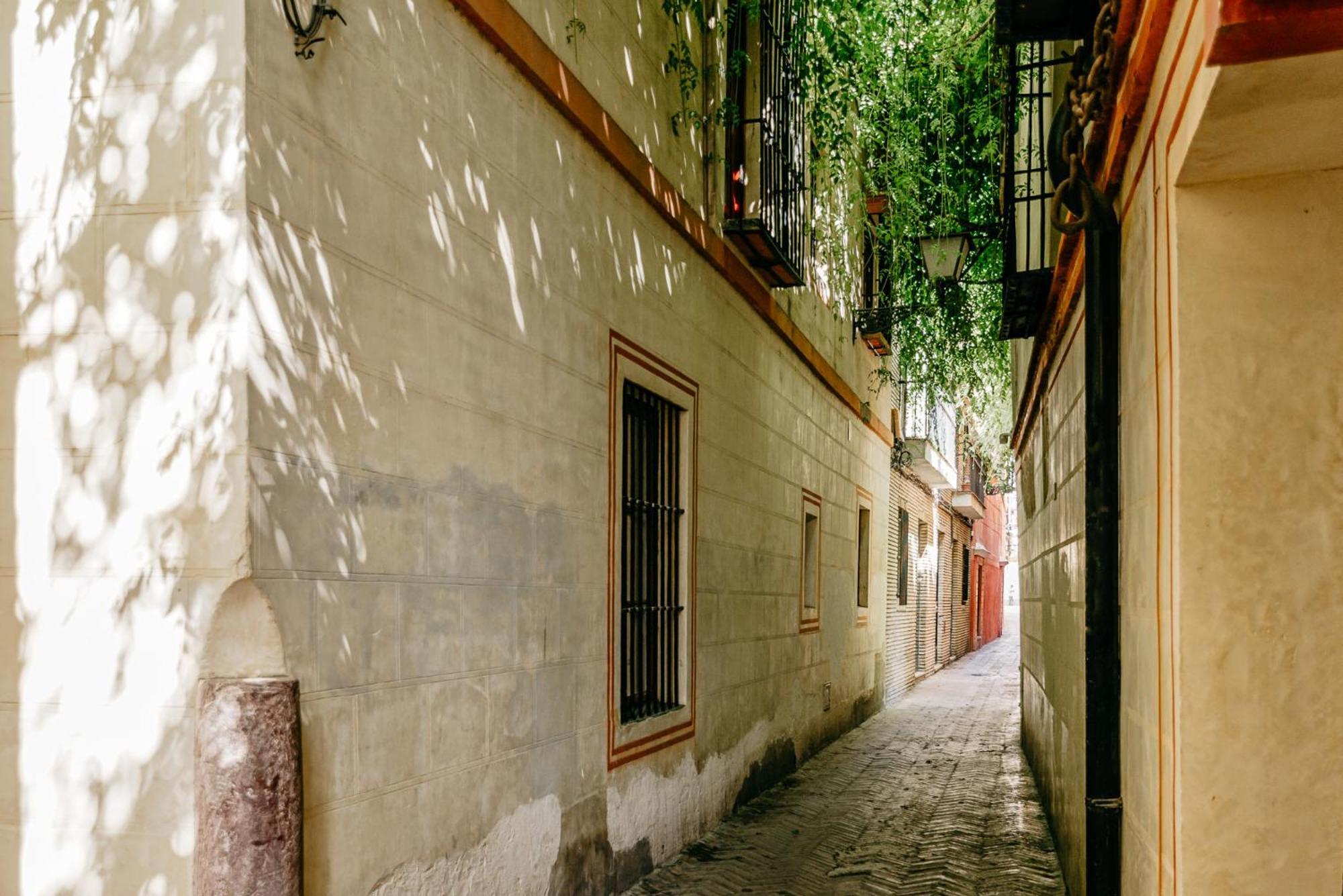 Avanti Santa Cruz, A 500m De Catedral, Puro Confort * Seville