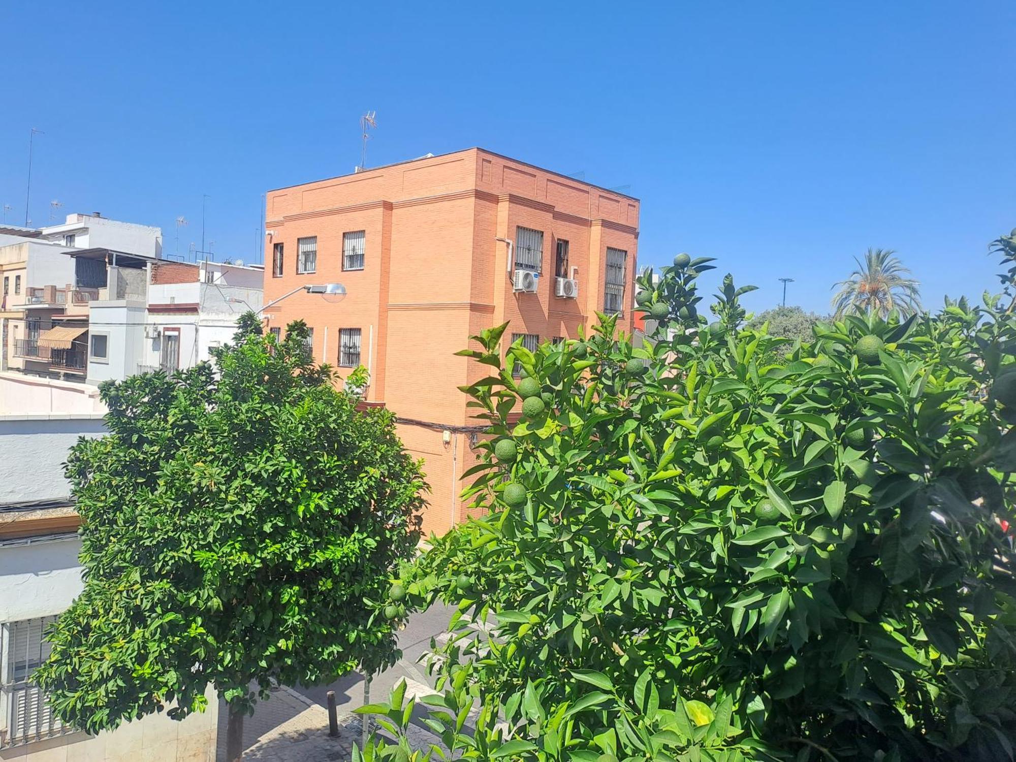 Casa Salma Homestay