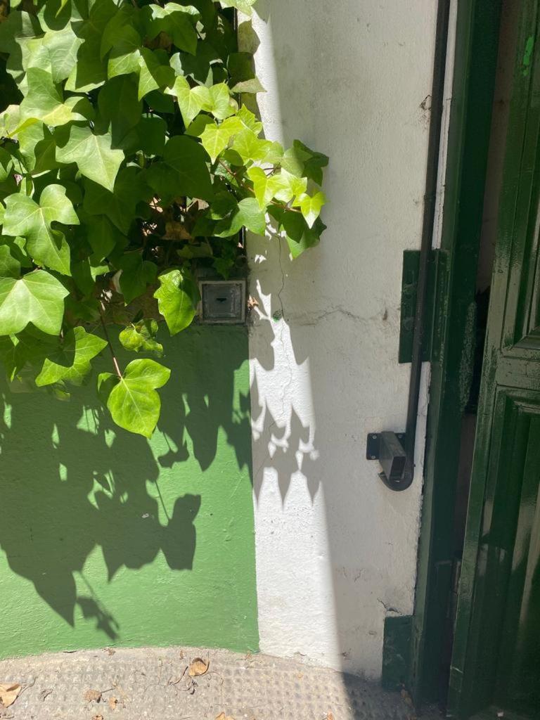 Rentalsevilla San Clemente *
