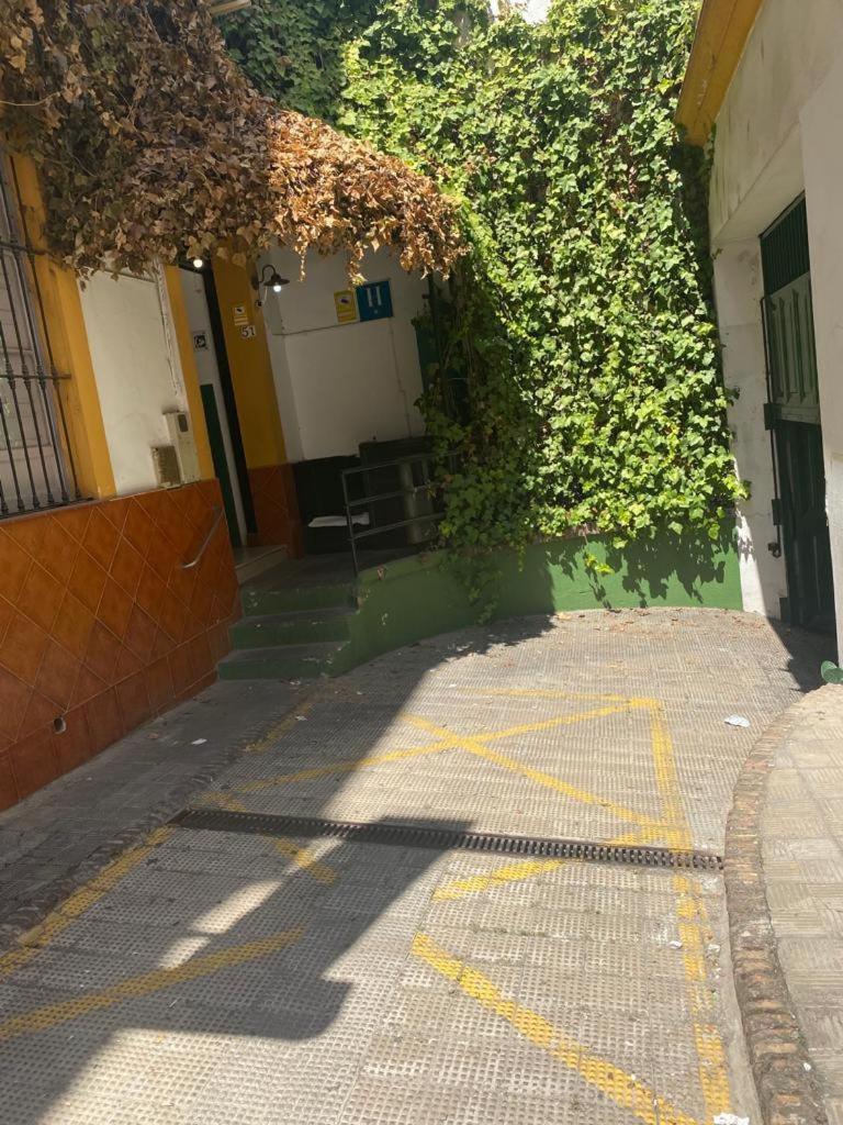 Rentalsevilla San Clemente *