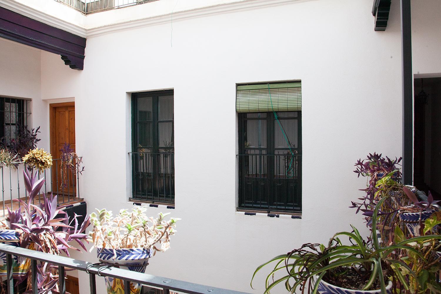 Apartamento Gotoseville Sierpes *