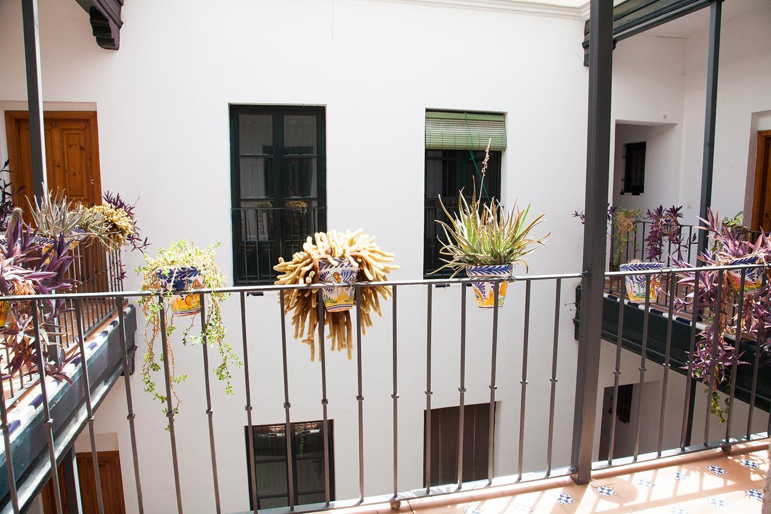 Gotoseville Sierpes Apartamento *