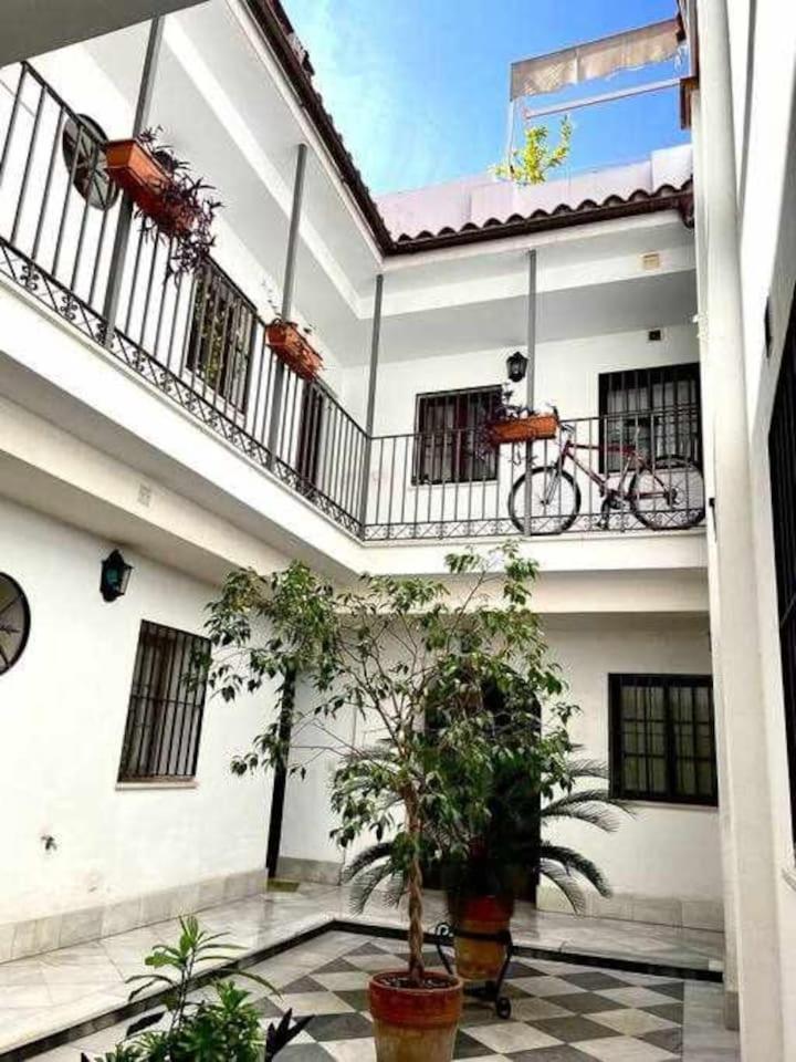 Tranquilo En Barrio Bohemio *