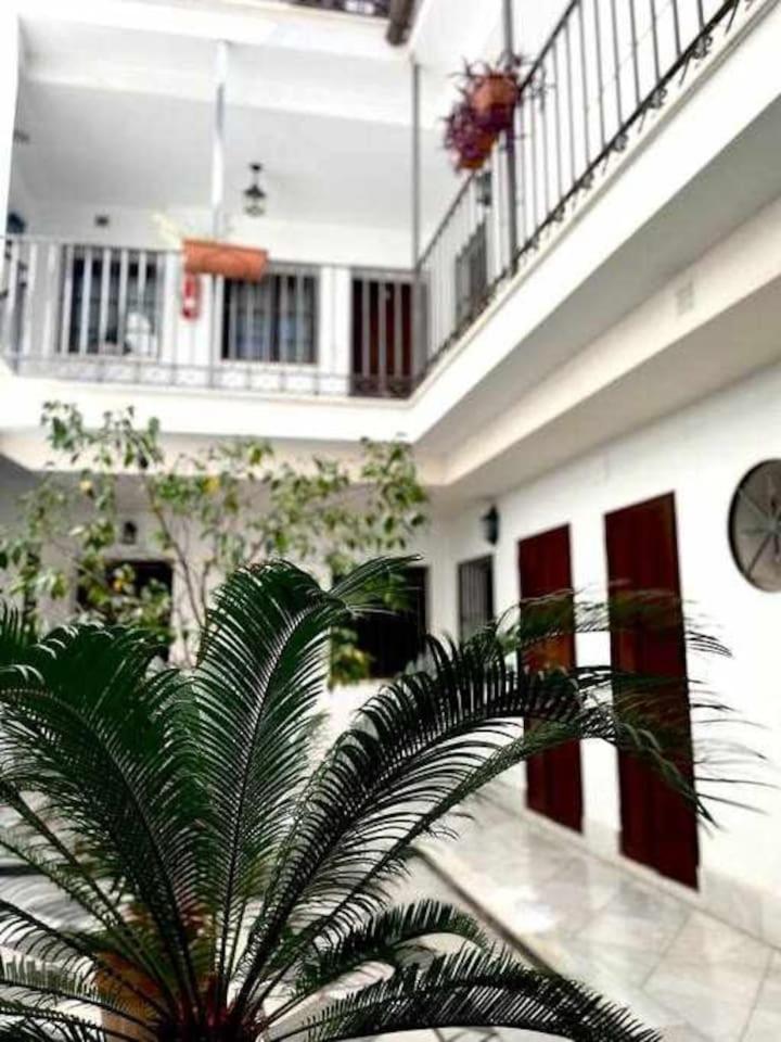 Tranquilo En Barrio Bohemio