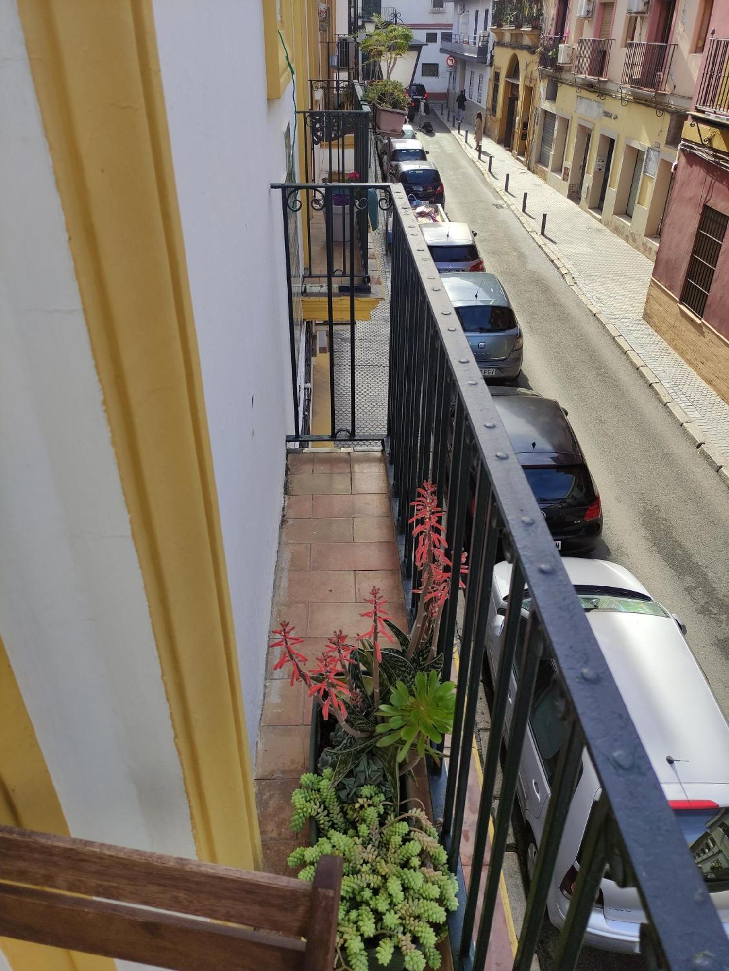 Vive Triana Apartamento Sevilla