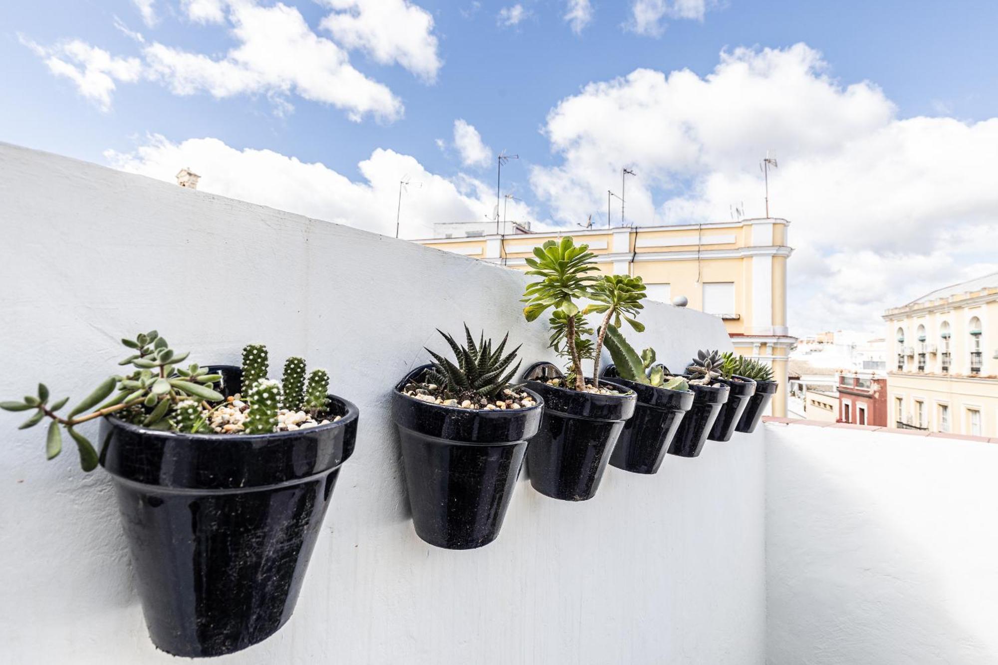 Apartment Bonito Duplex Con Terraza Calle Feria