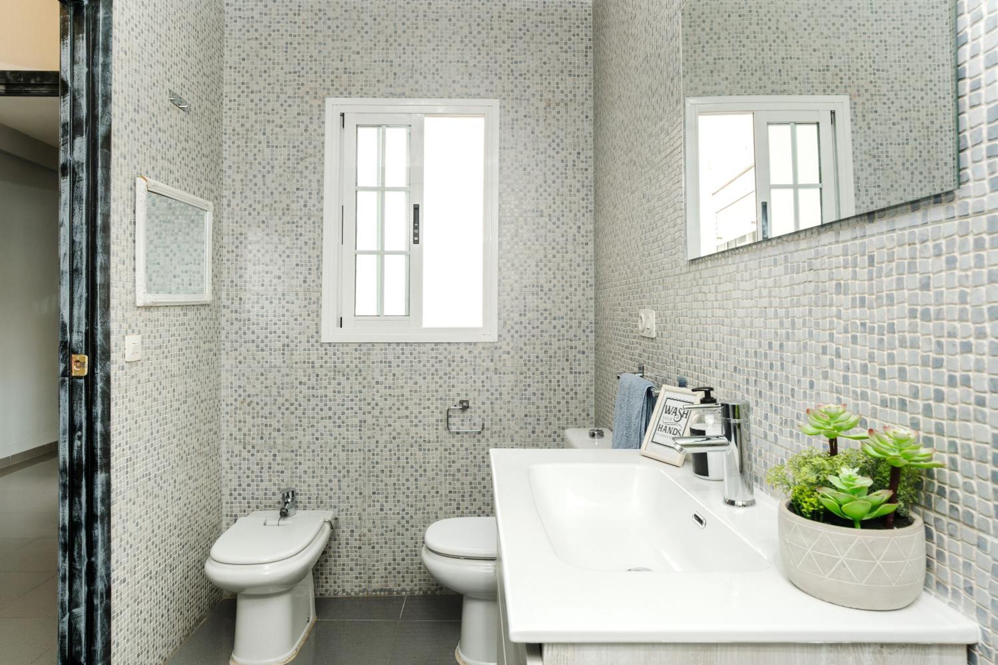 Apartment Conde 10