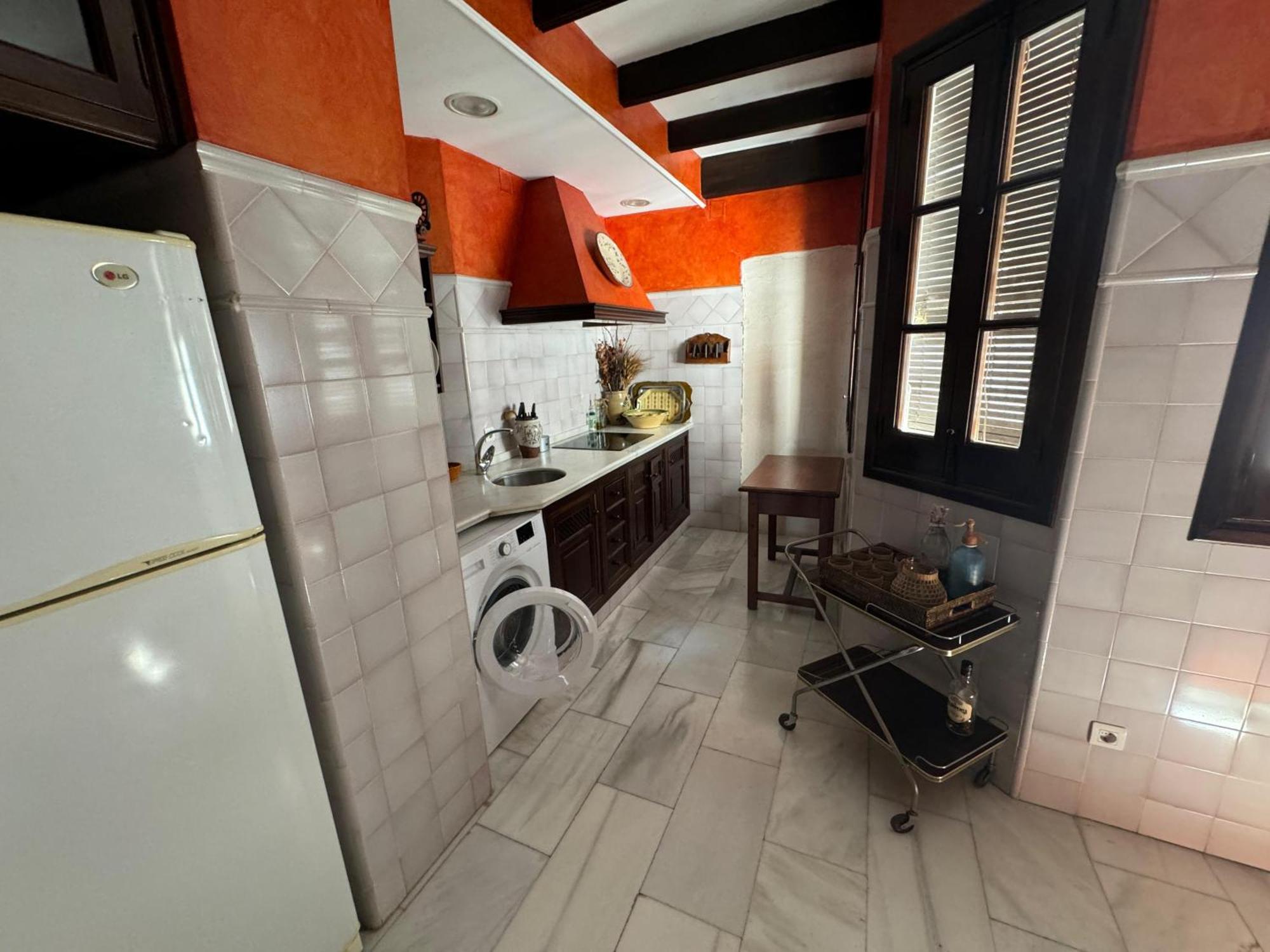 Wonderful Duplex In Calle Betis Seville