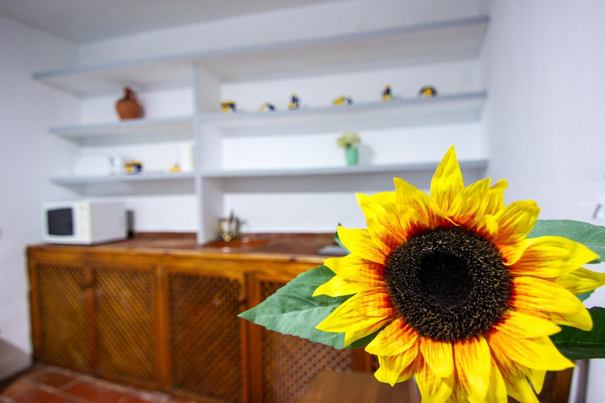 Rentalsevilla Un Oasis En El Centro De Apartamento *