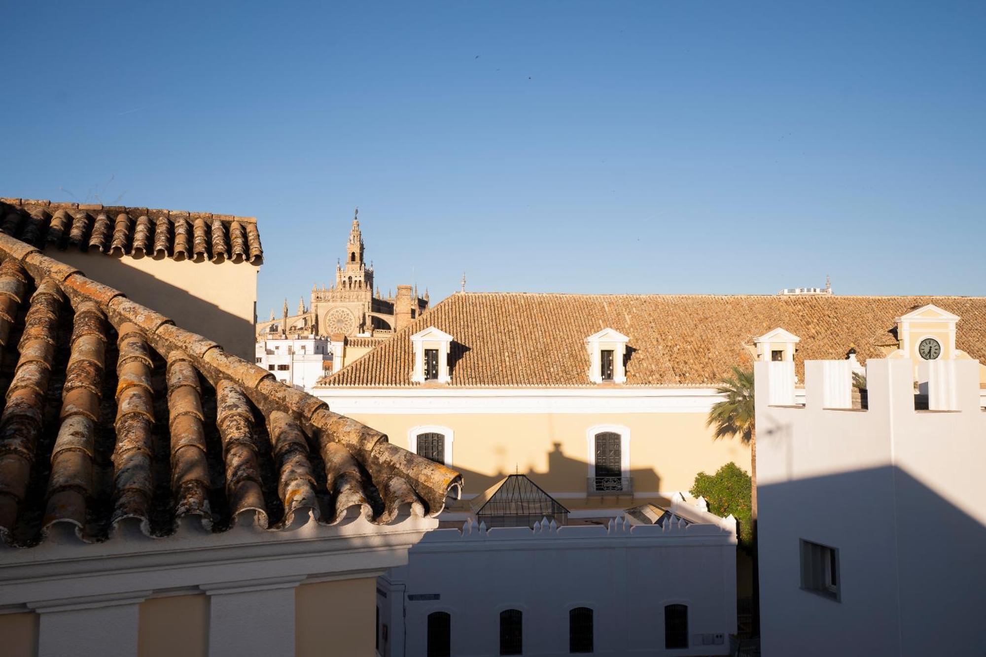 Petite California Dos De Mayo * Seville