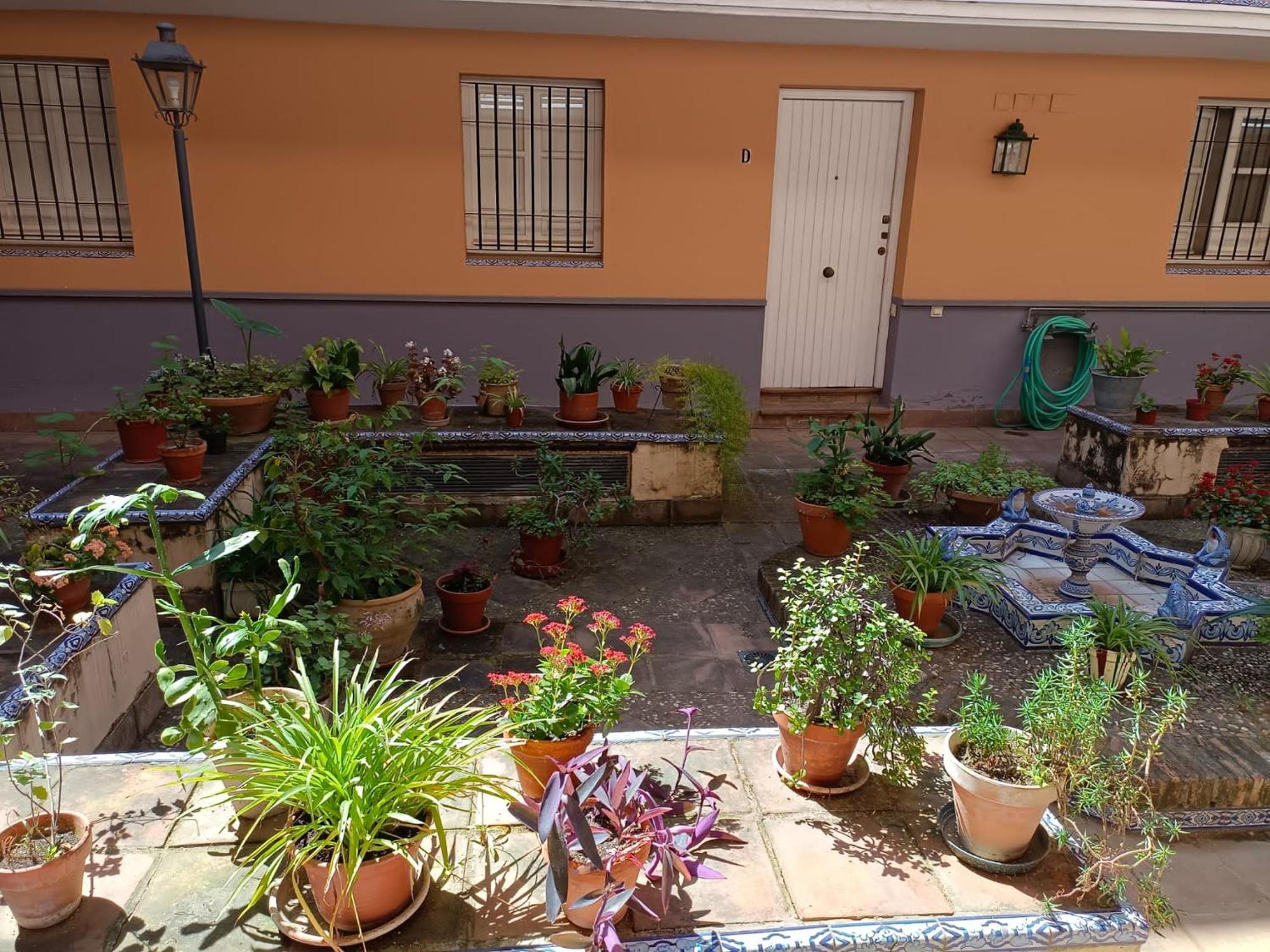 San Bernardo 15