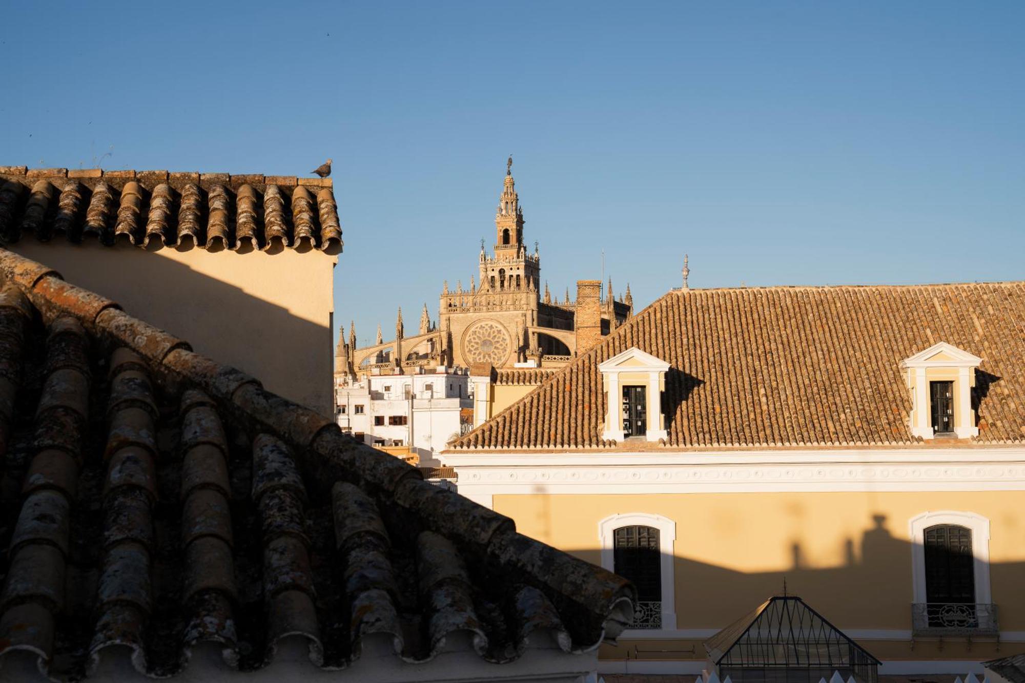 Petite California Dos De Mayo Seville