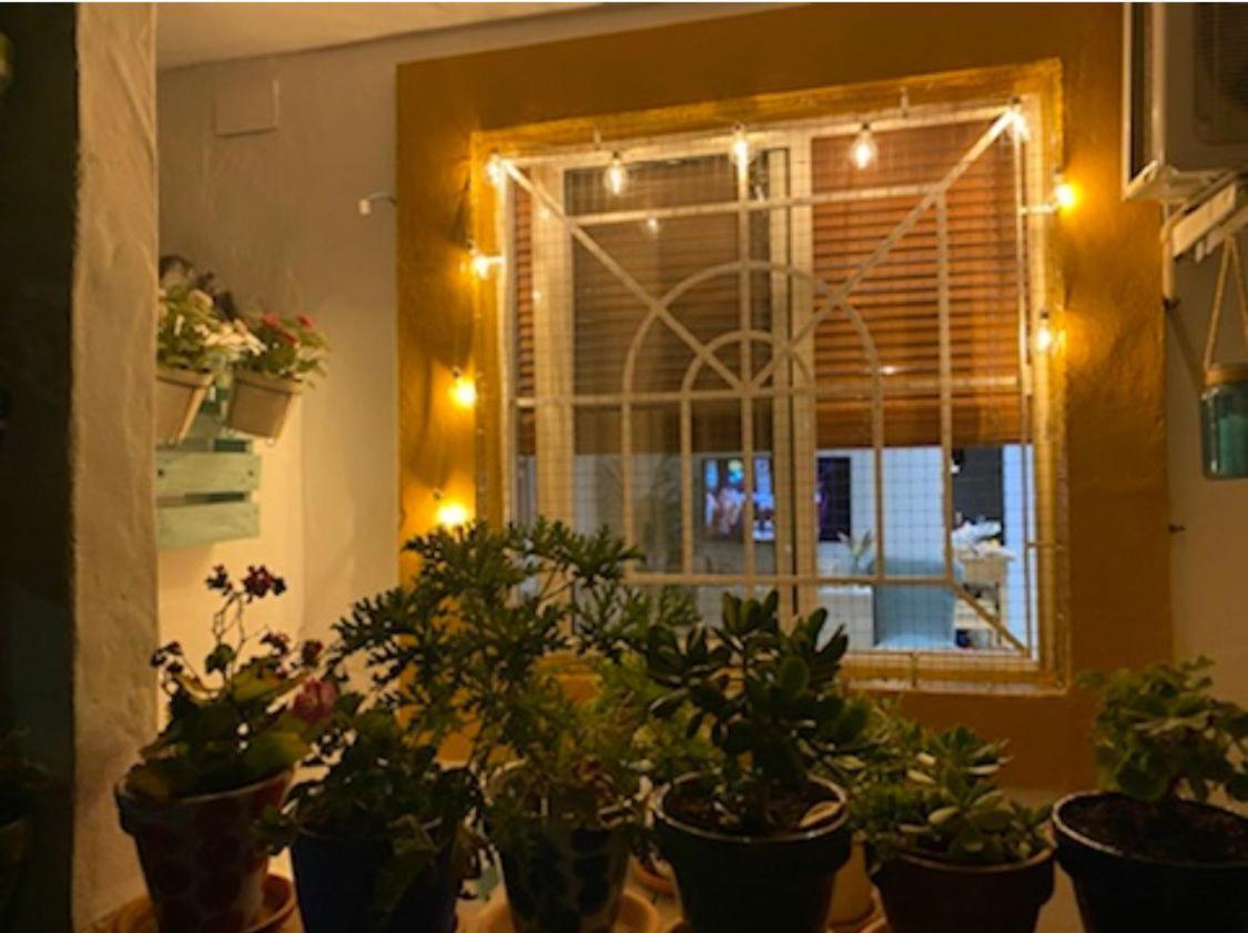 Apartment Placer Sevillano On The Glory Seville