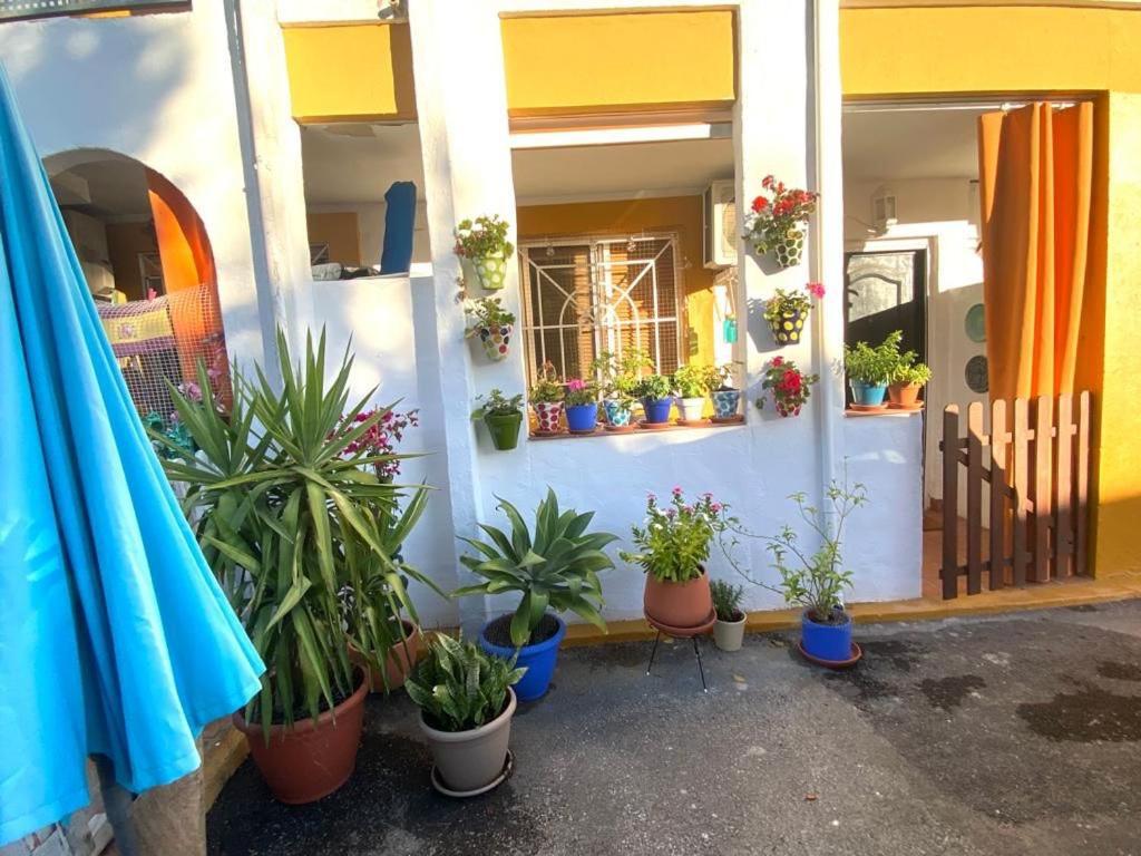 Placer Sevillano On The Glory Apartment