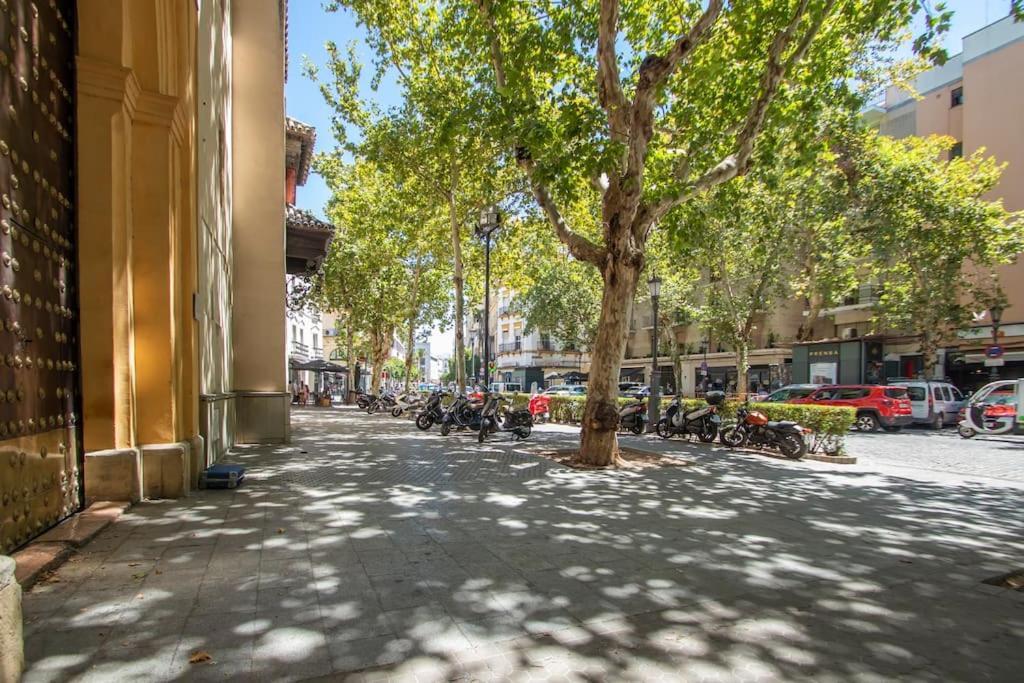 Apartment Muy Centrico, Tranquilo Y Confortable **a/c-wifi** Seville