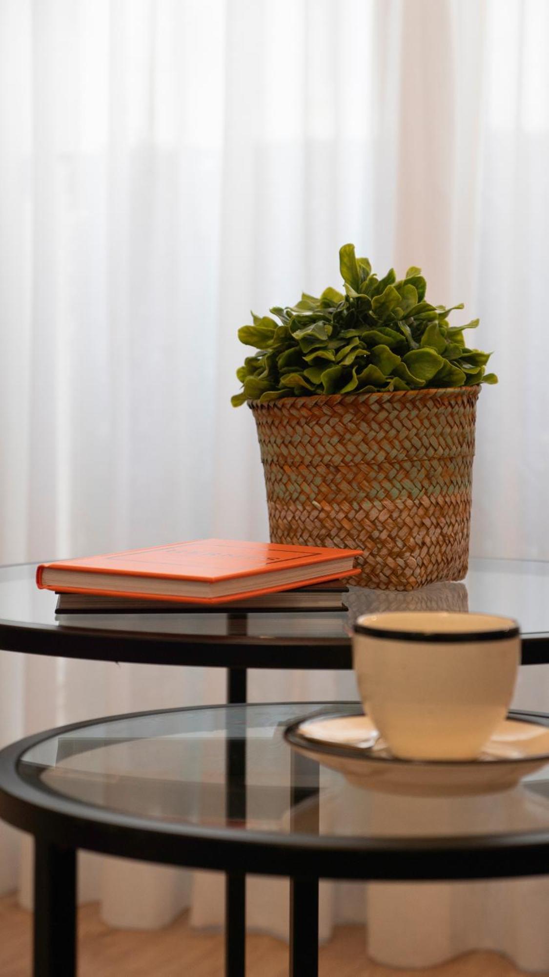 Apartment Calm & Design Seville