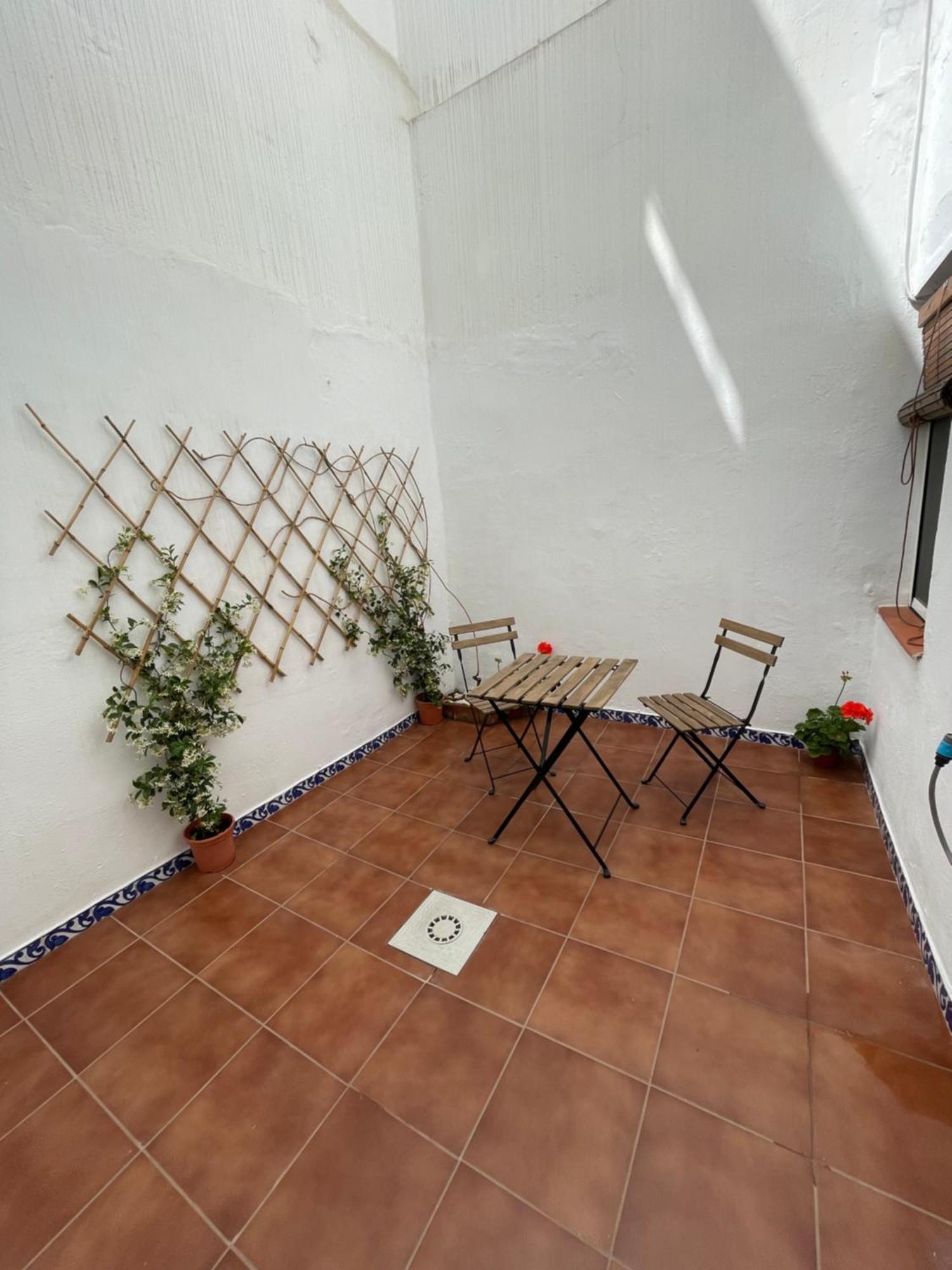 Mini Loft Con Patio En La Alameda De Seville