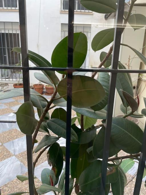 Hoomtur Apartment Seville