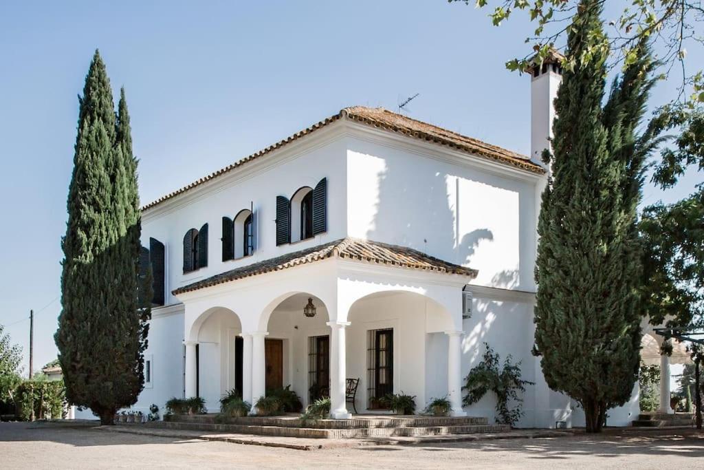 Casa Del Monte * Seville