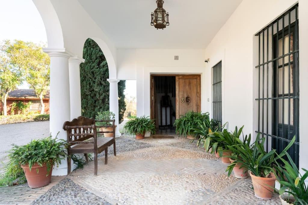 Casa Del Monte * Seville