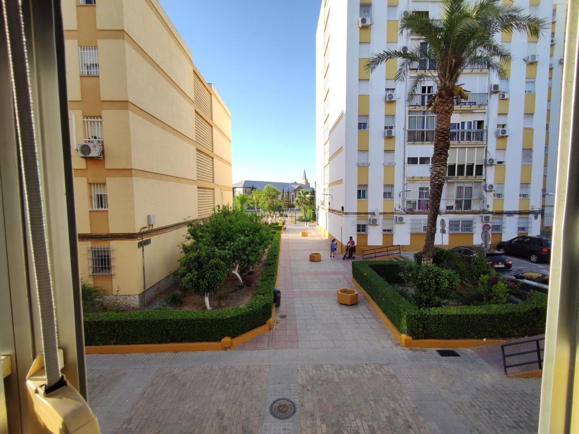 Apartment Celia Seville