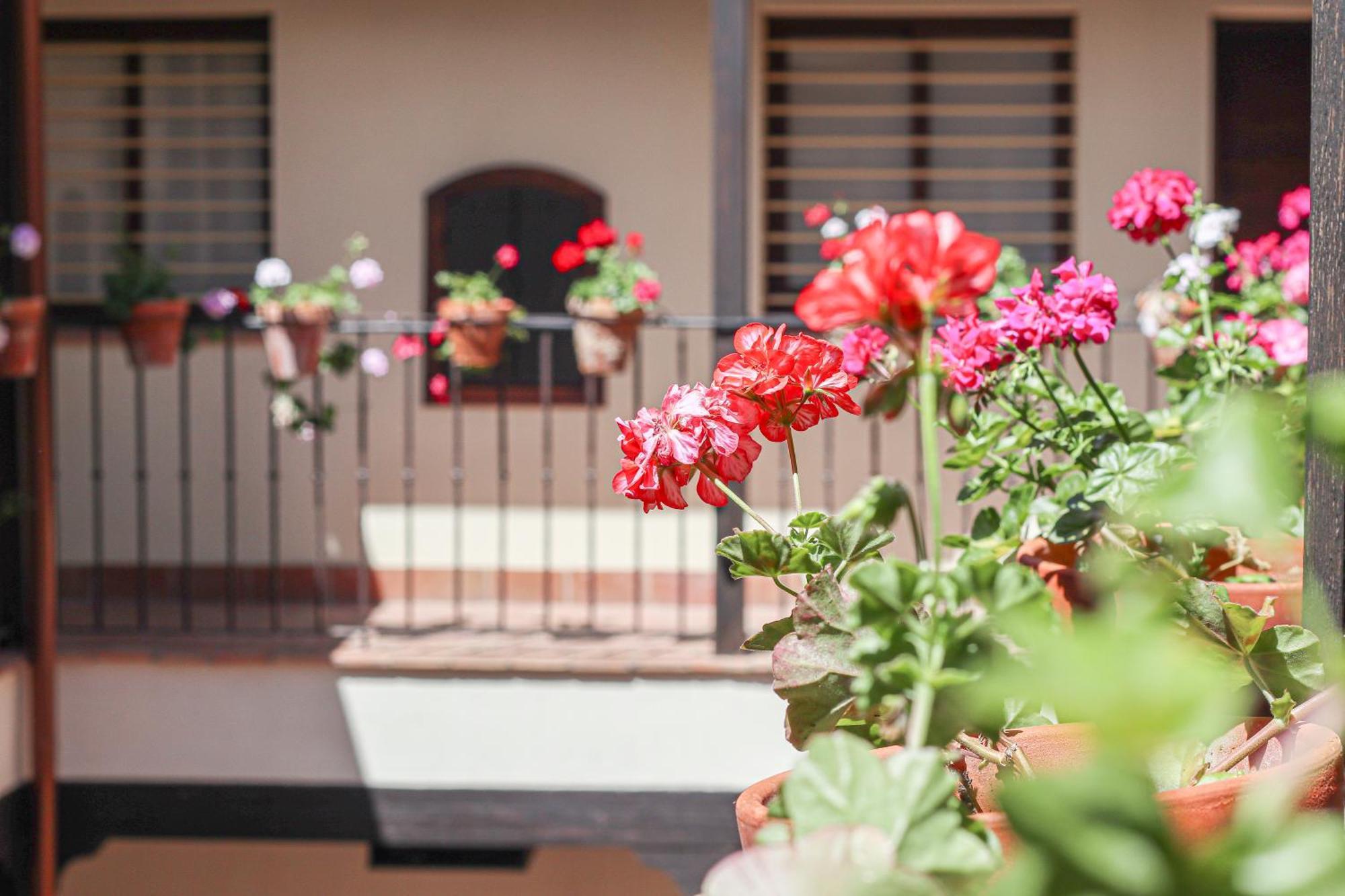 Charming In The Center - 10m Walk Isla Magica Apartment *
