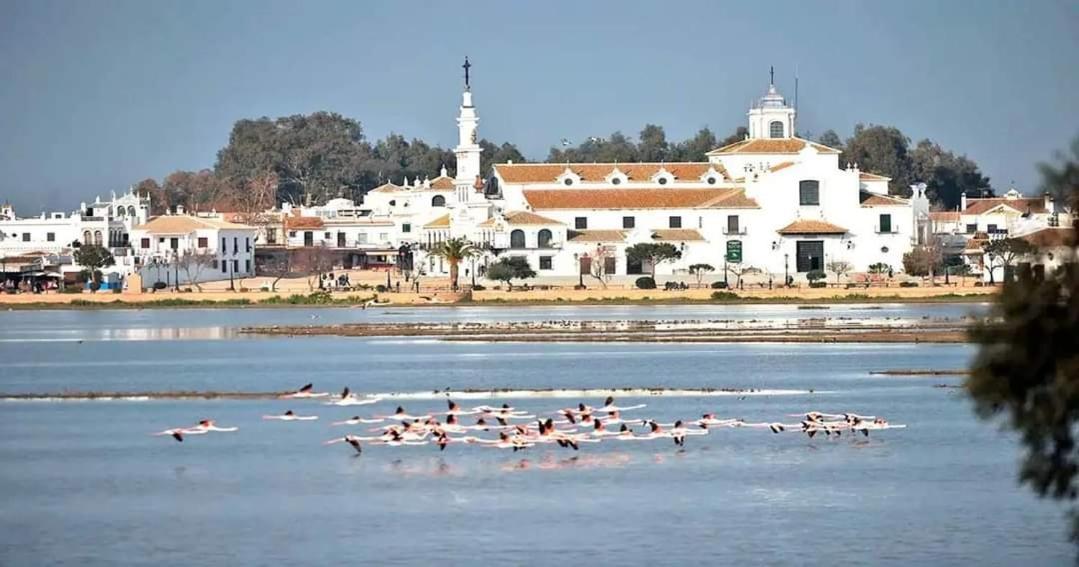 Gloria Fuertes Seville