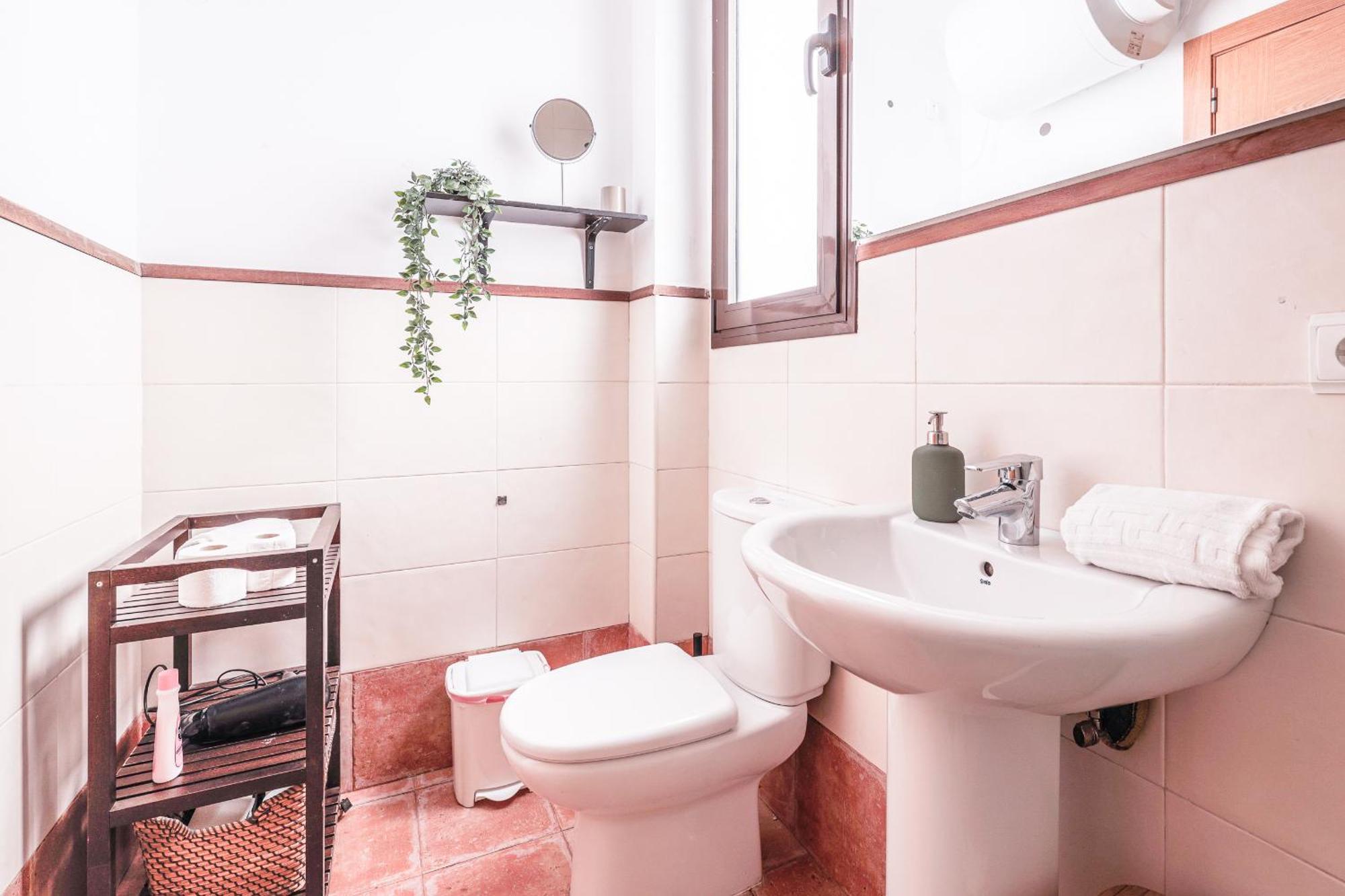 Fantastico Atico 2 Hab Y Gran Terraza Privada *