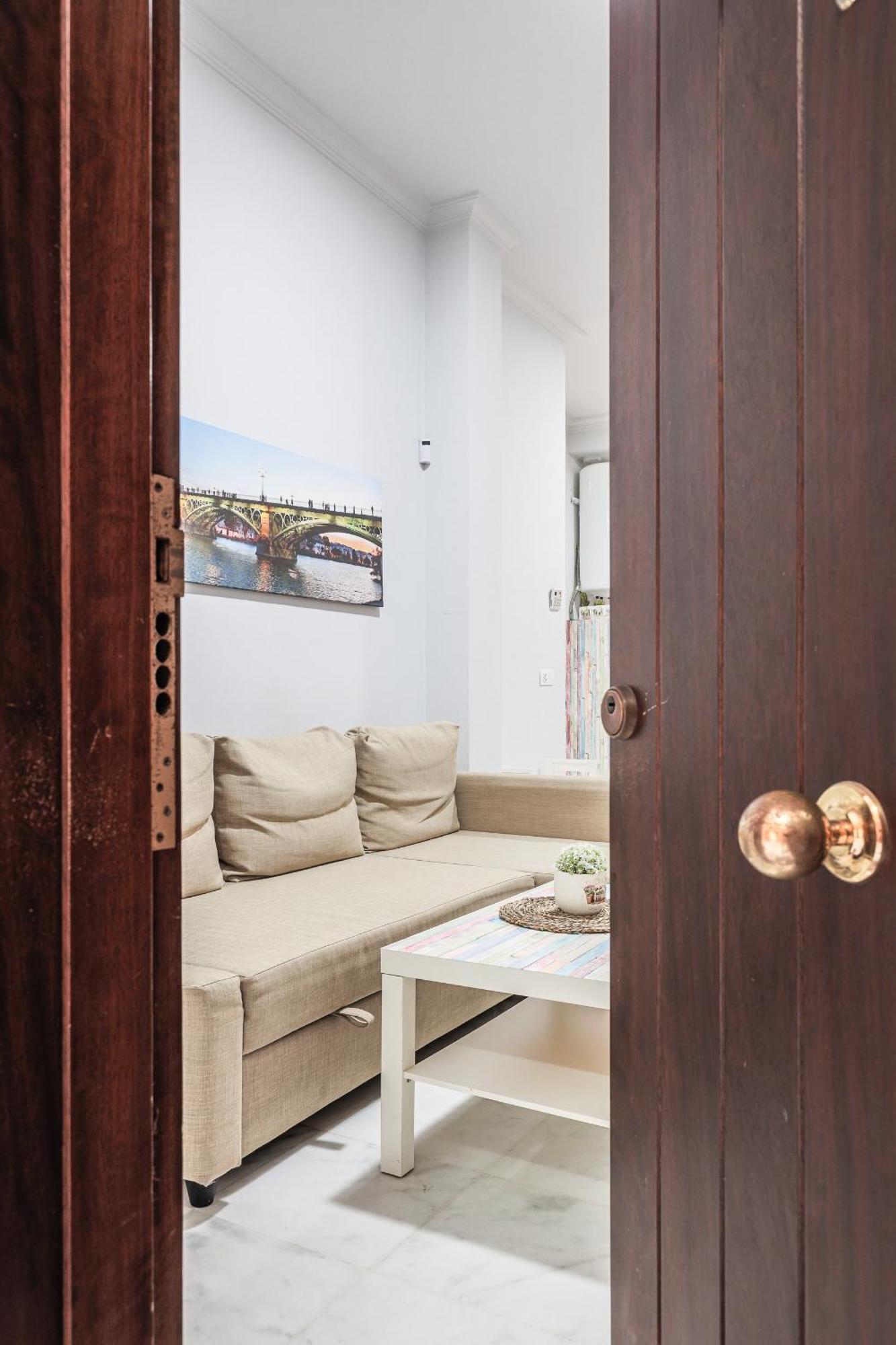 Apartment Castilla 141