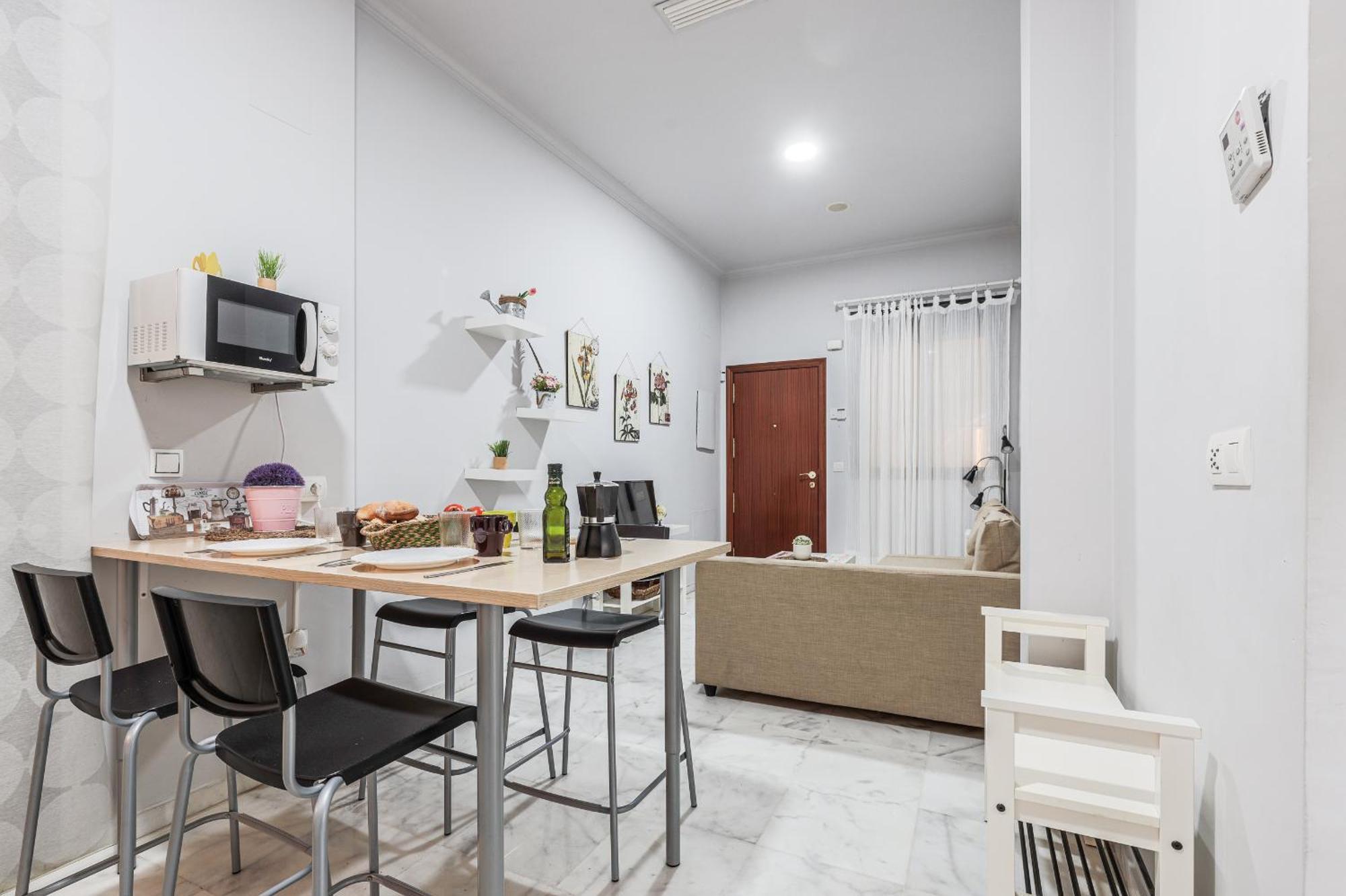 Apartment Castilla 141 Seville