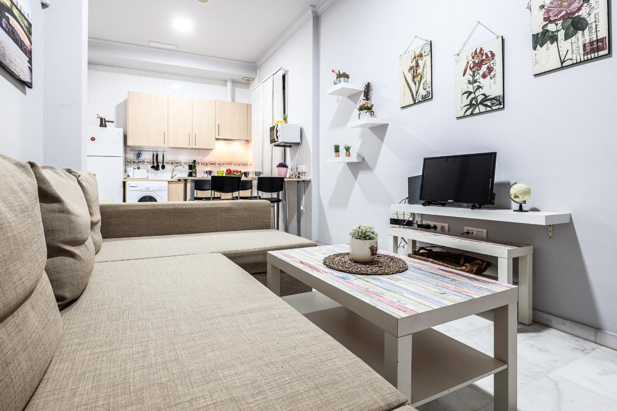 Apartment Castilla 141