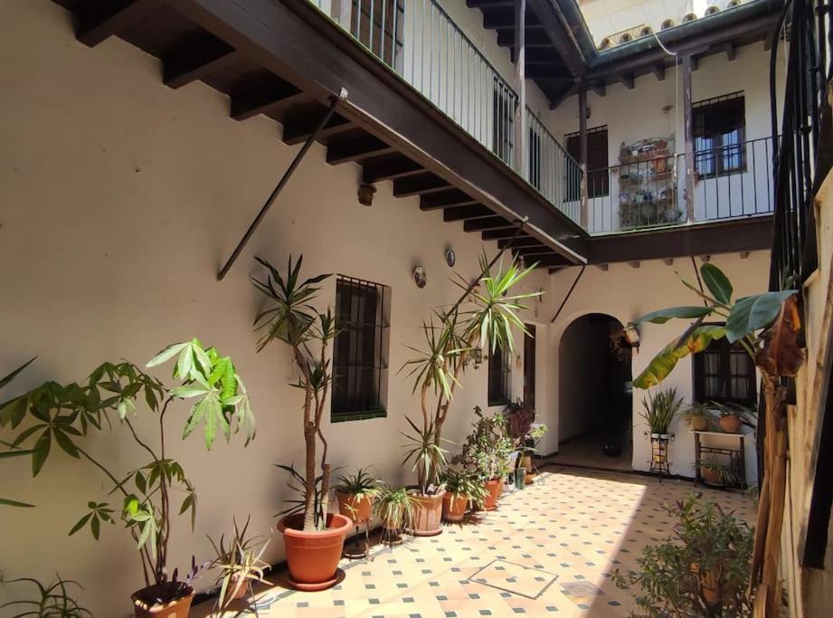 Patios De Triana - El Corral De La O Apartment *