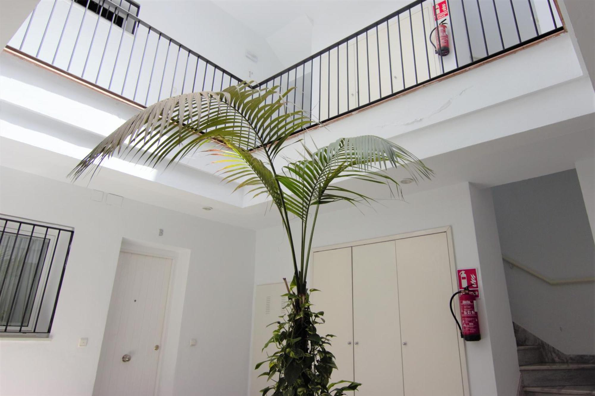 Rentalsevilla El Rincon De La Alameda De Hercules Apartamento Sevilla