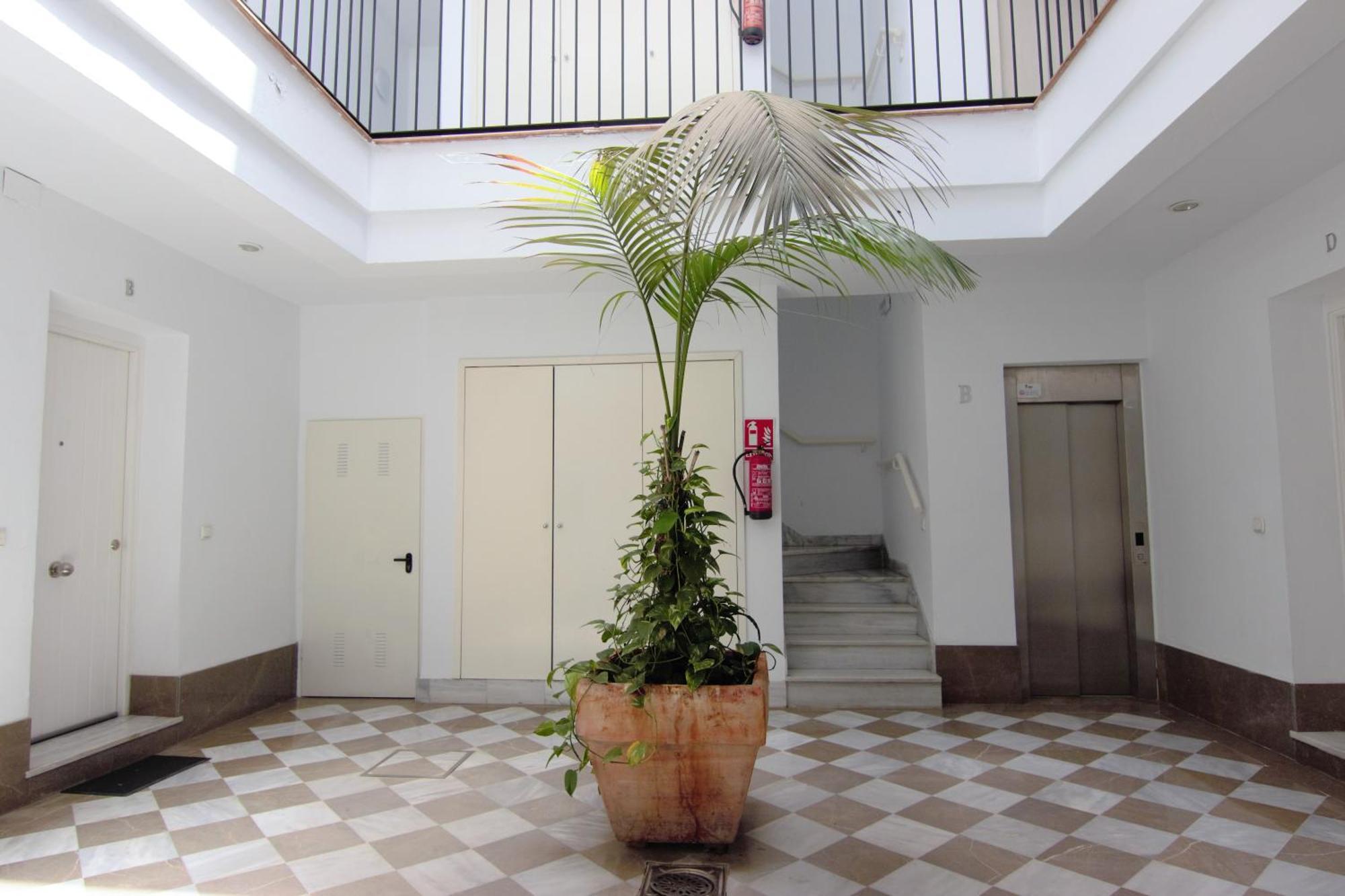 Apartamento Rentalsevilla El Rincon De La Alameda De Hercules Sevilla