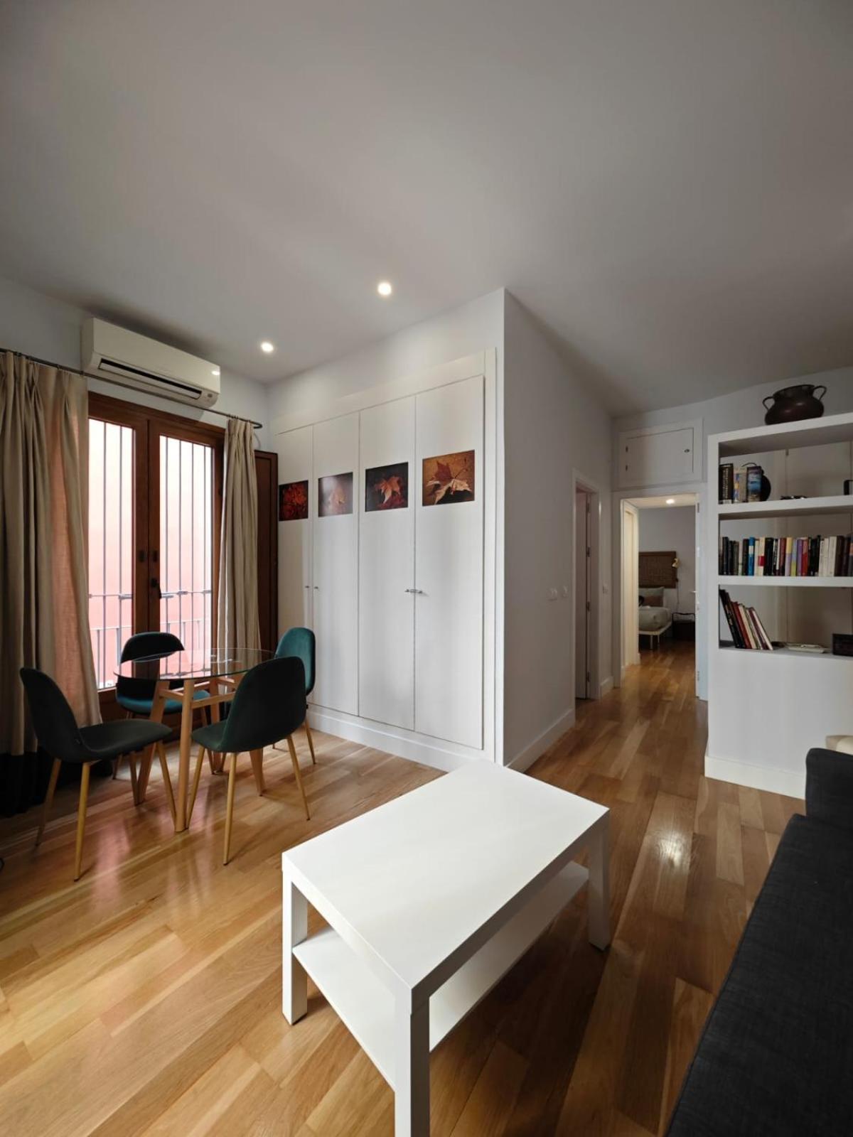 Apartment Luxury Center