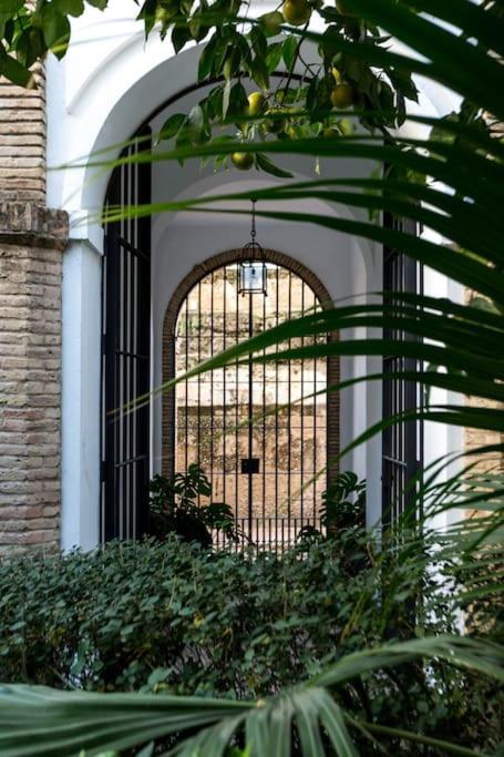 Apartment Zona 1 Santa Cruz Vistas Alcazares Parking Privado Seville