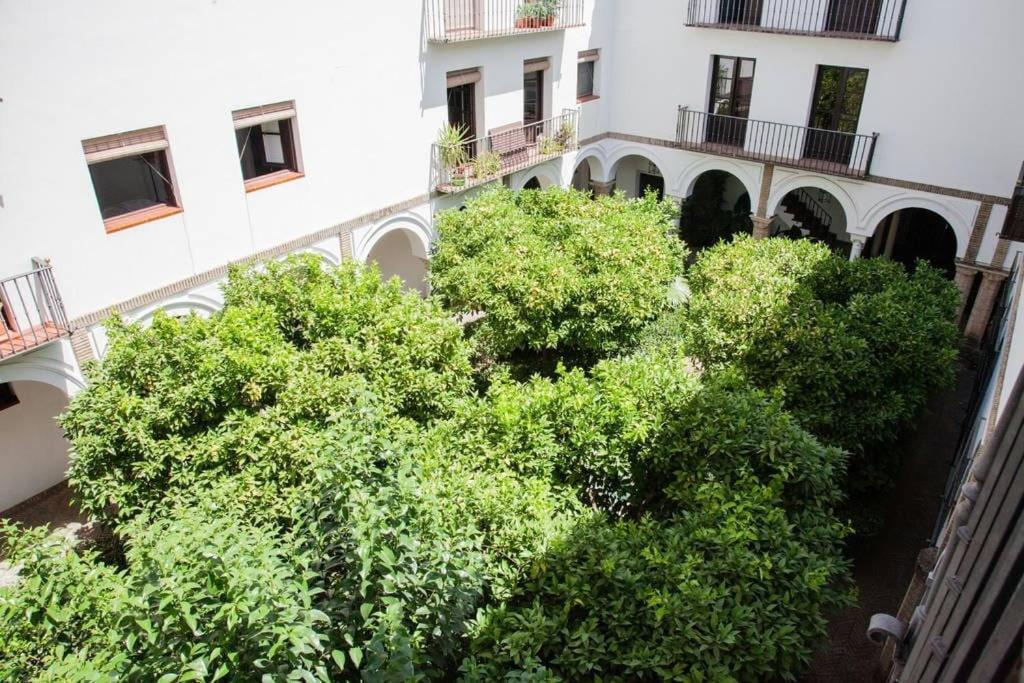 Zona 1 Santa Cruz Vistas Alcazares Parking Privado * Seville